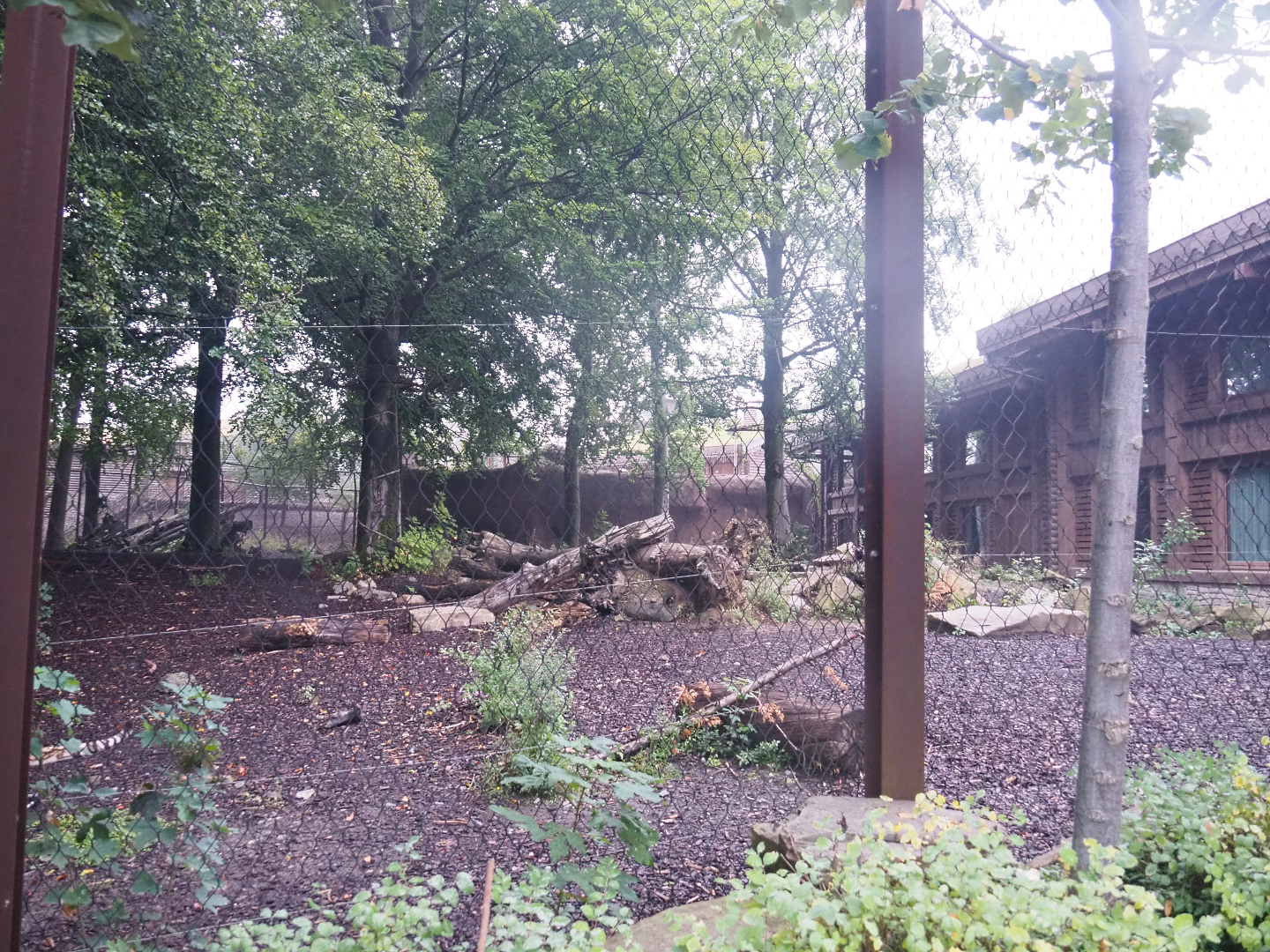 Amur tiger exhibit and Tiger House resort building, 2022-09-14