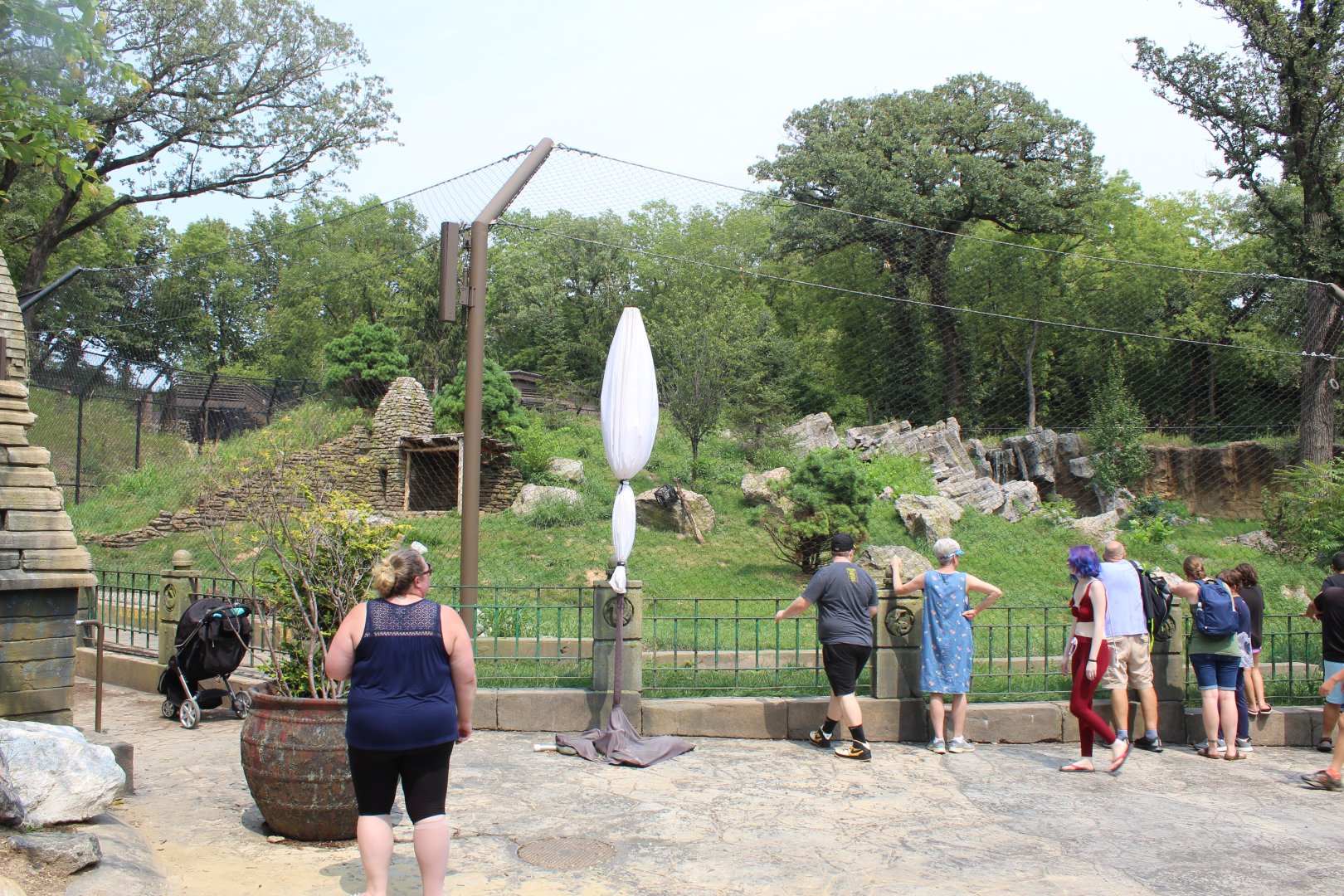 Amur Tiger Exhibit - Asian Highlands