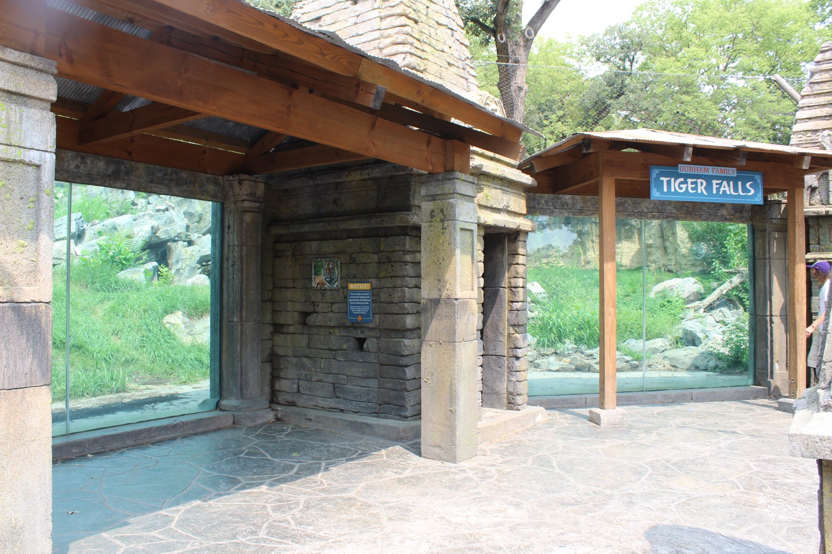 Amur Tiger Exhibit - Asian Highlands
