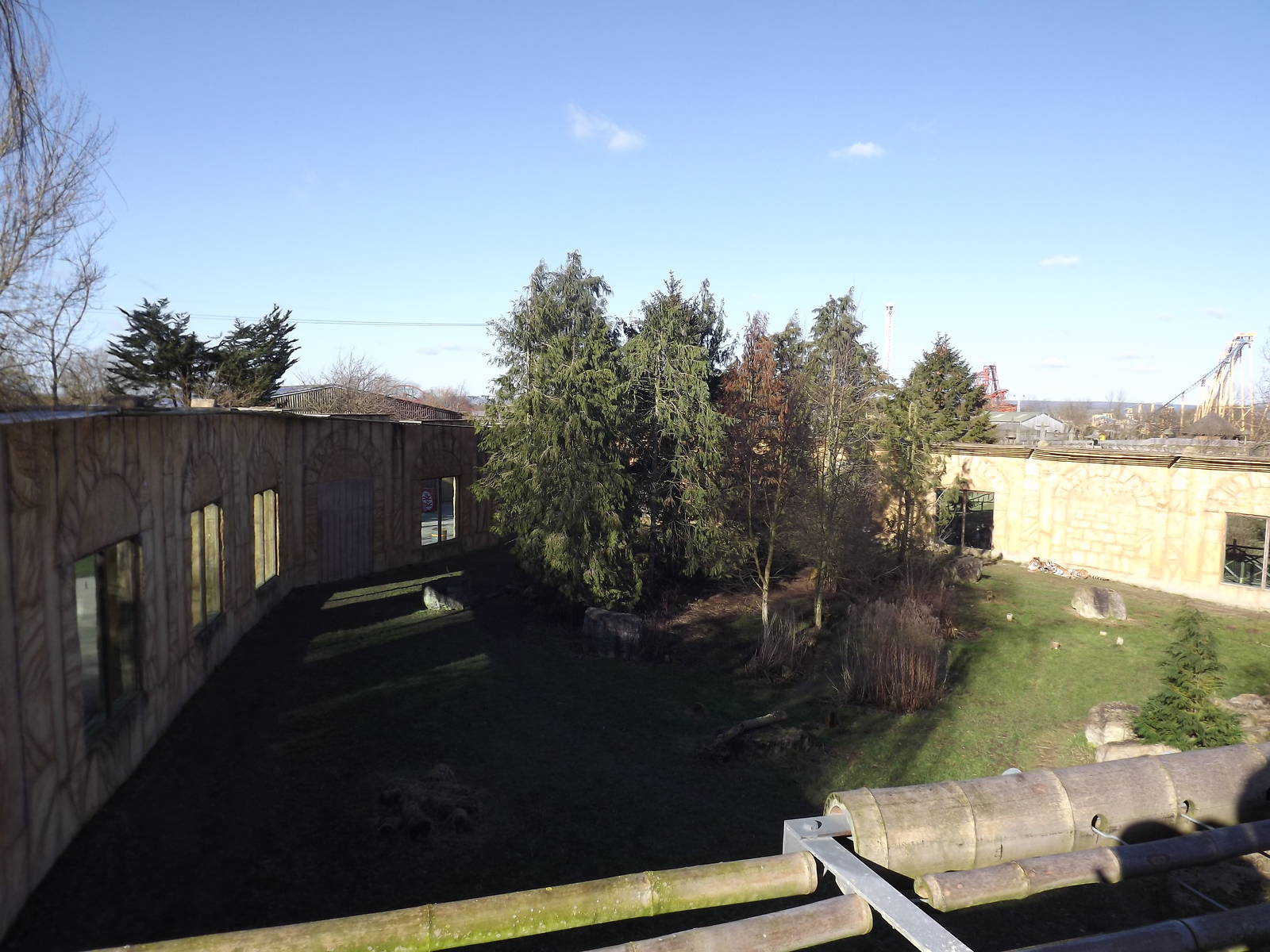 Amur Tiger exhibit at Flamingoland 19/02/12
