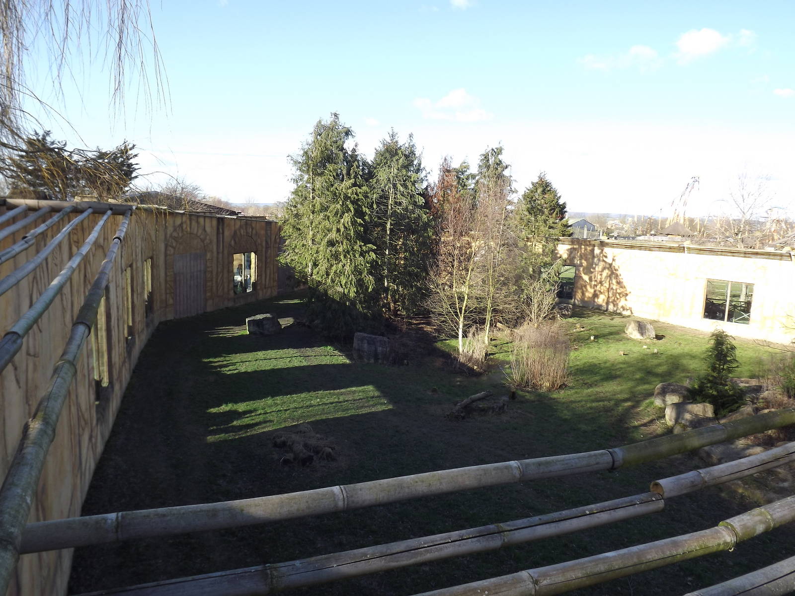 Amur Tiger exhibit at Flamingoland 19/02/12