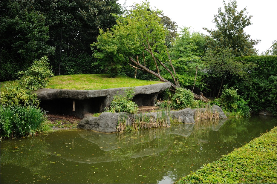 Amur-tiger exhibit at Hamburg