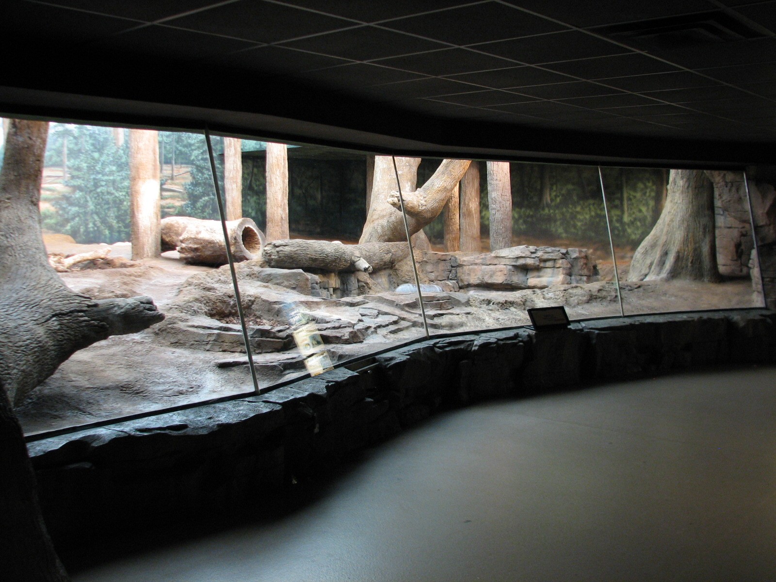 Amur Tiger Exhibit - Bedroom
