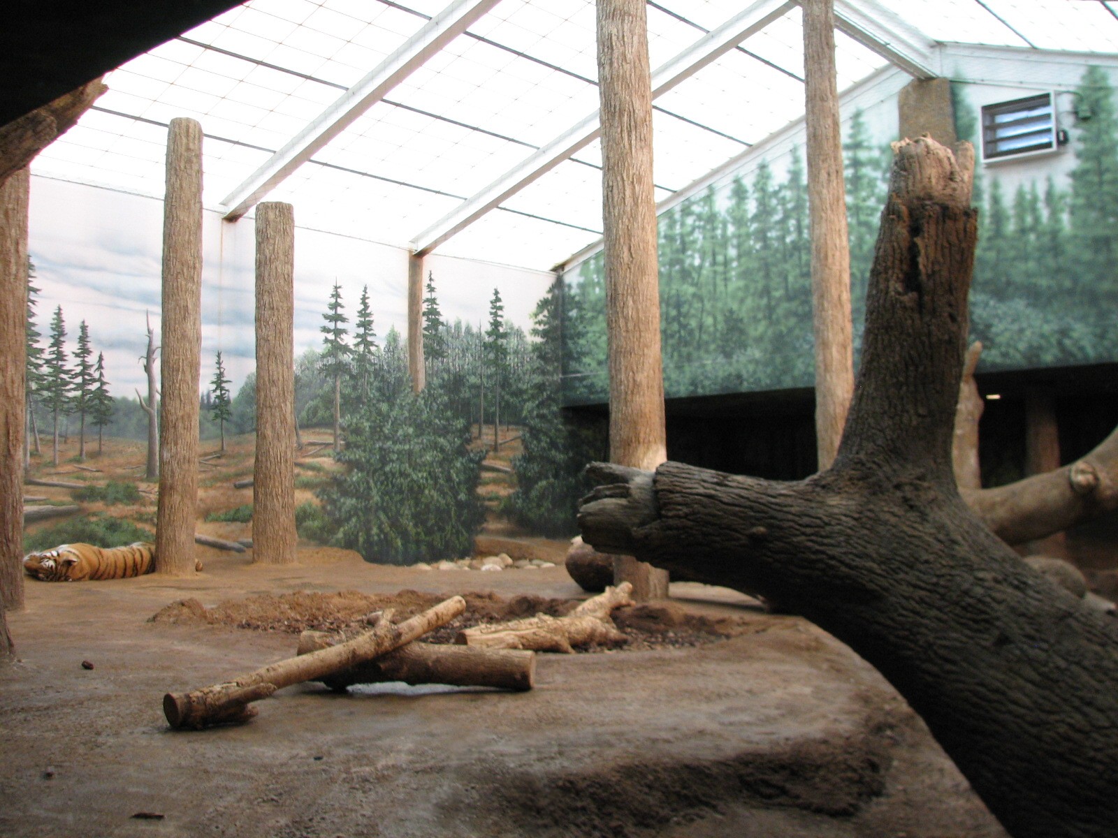 Amur Tiger Exhibit - Bedroom
