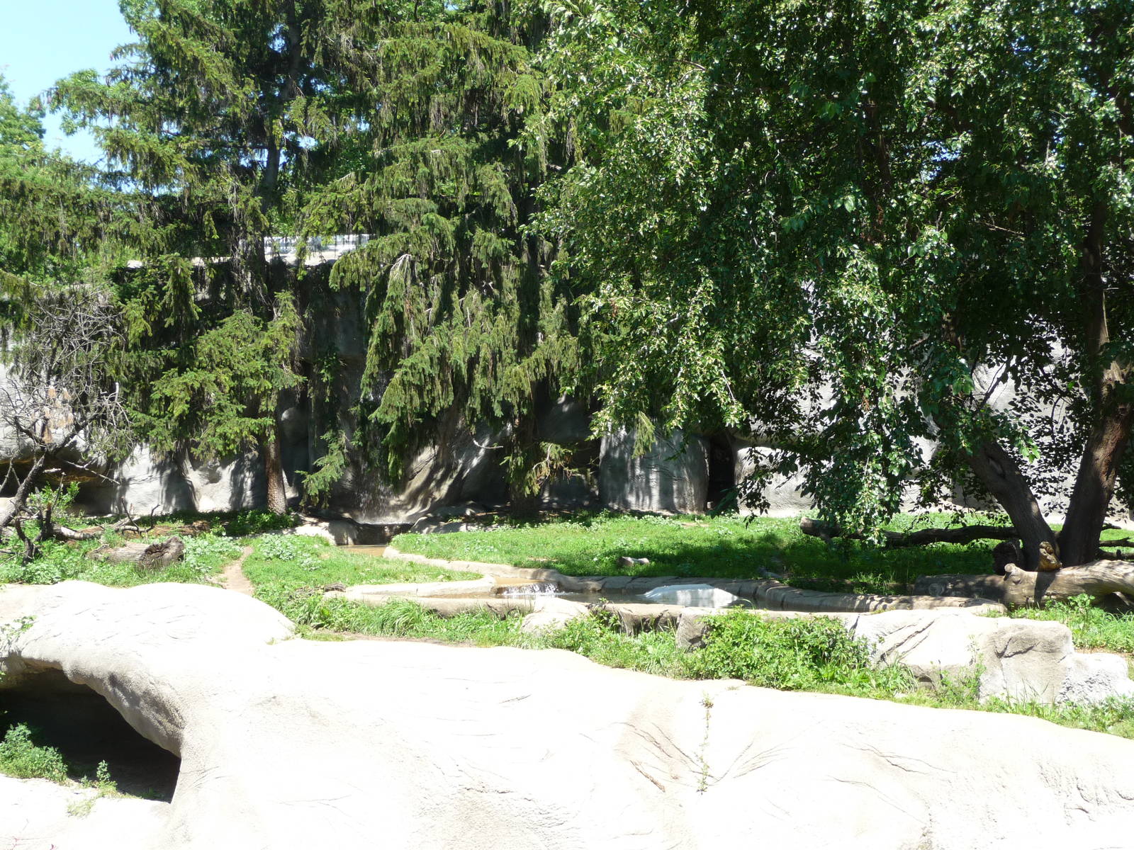 Amur Tiger Exhibit - Detroit Zoo