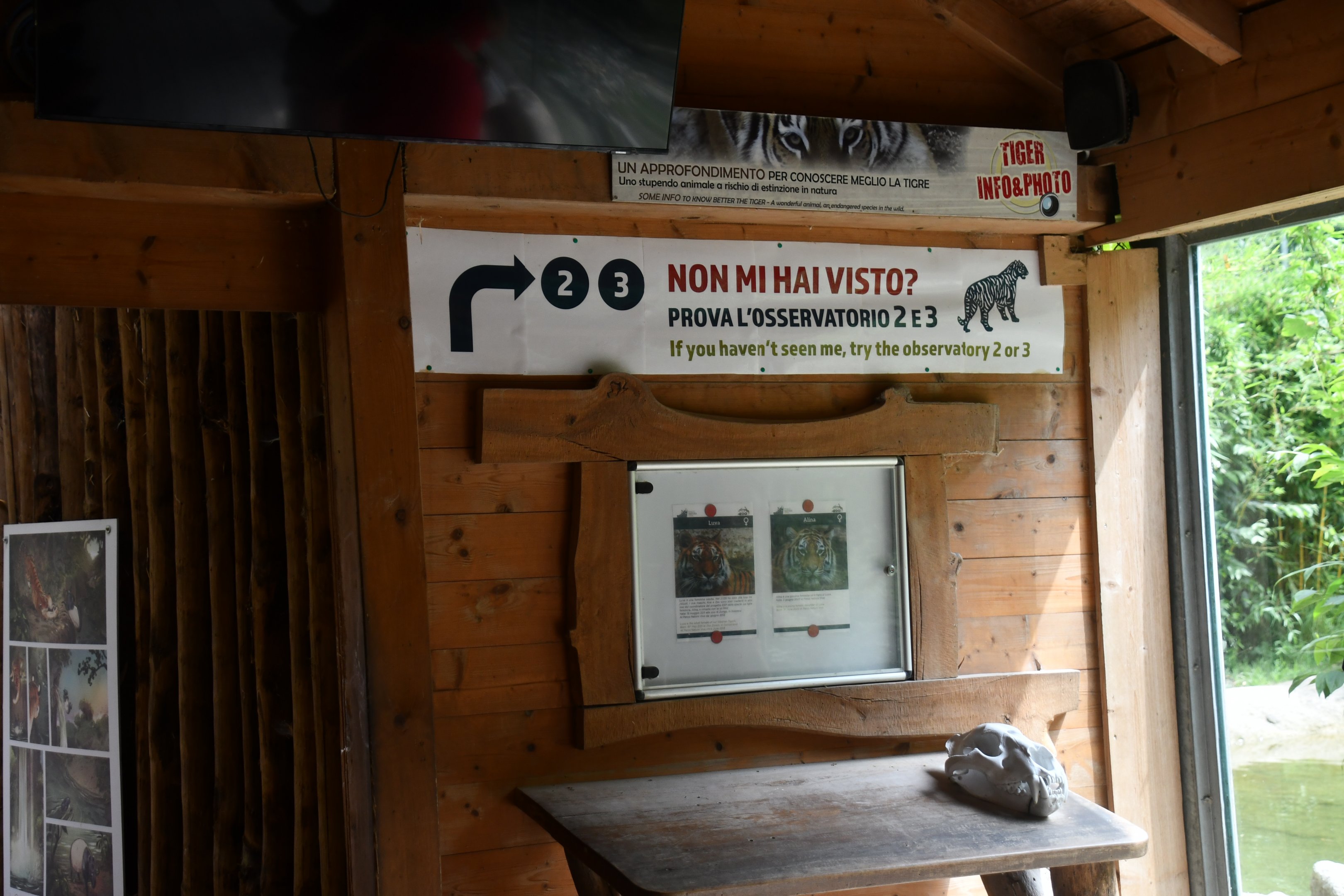 Amur Tiger exhibit - interpretive station