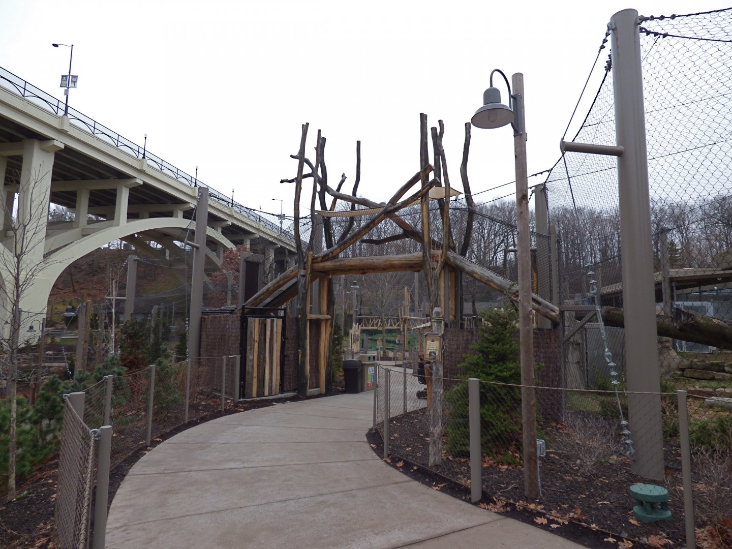 Amur Tiger Exhibit - January 2017