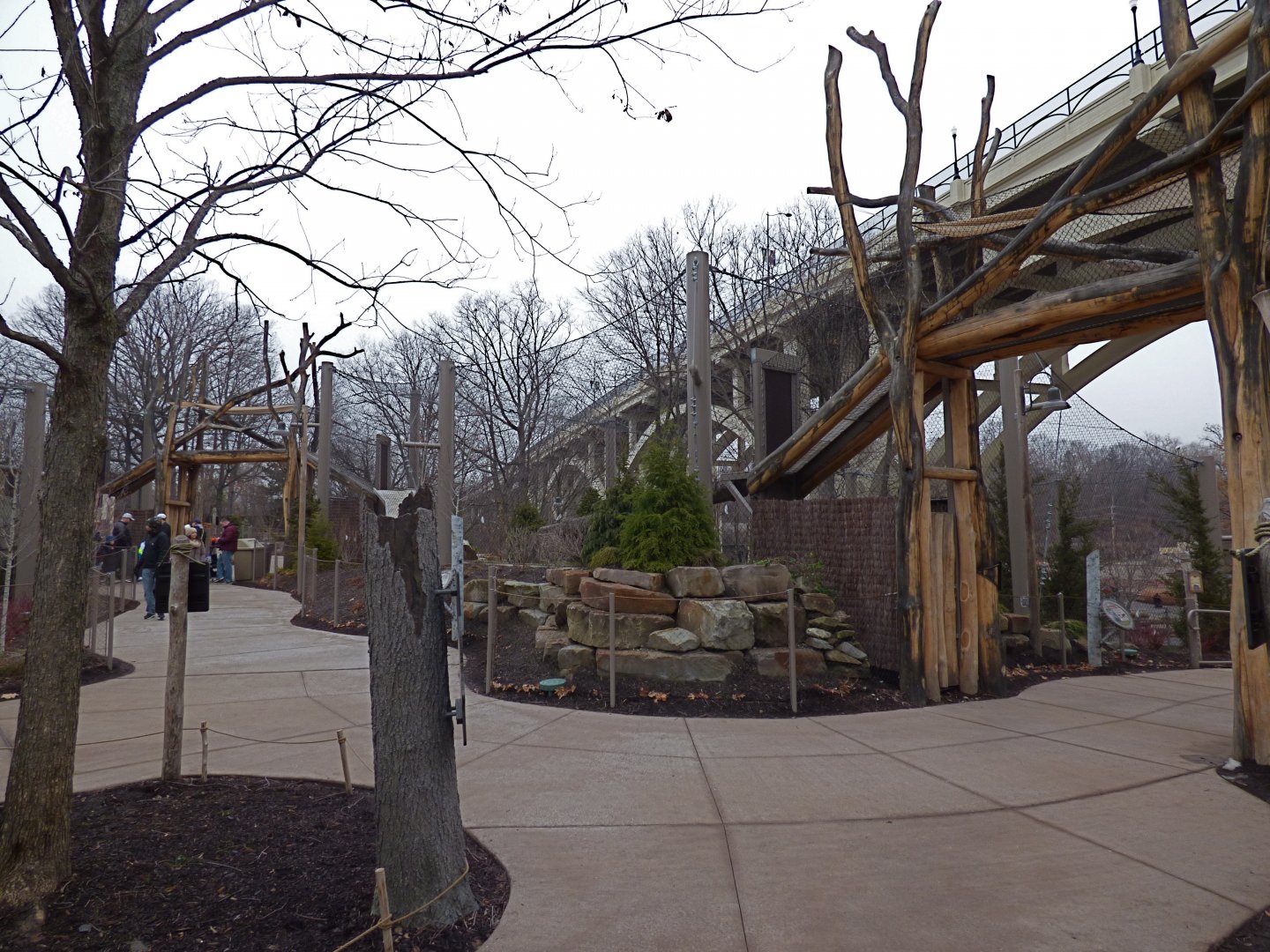 Amur Tiger Exhibit - January 2017