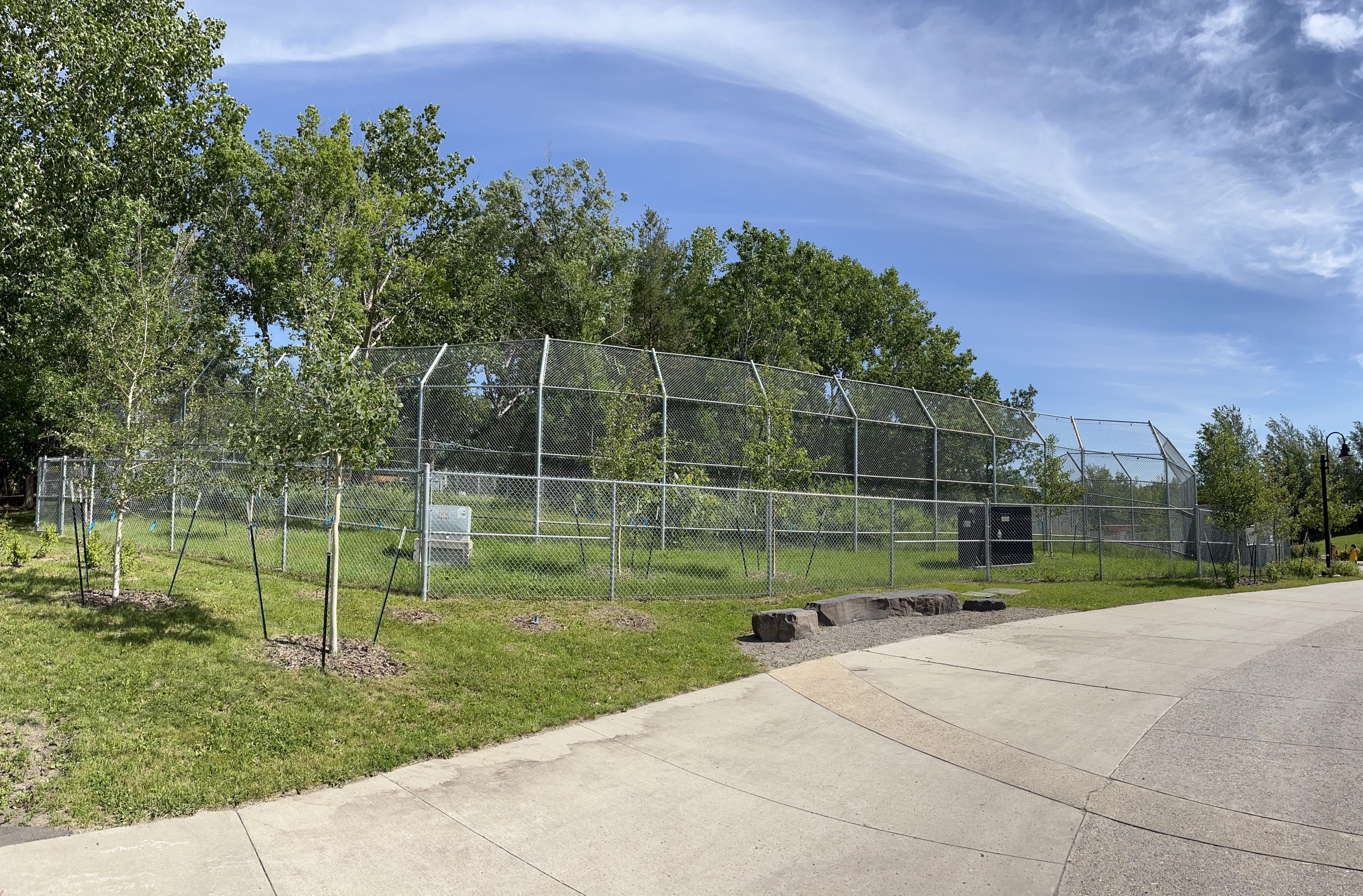 Amur Tiger Exhibit - New in 2020