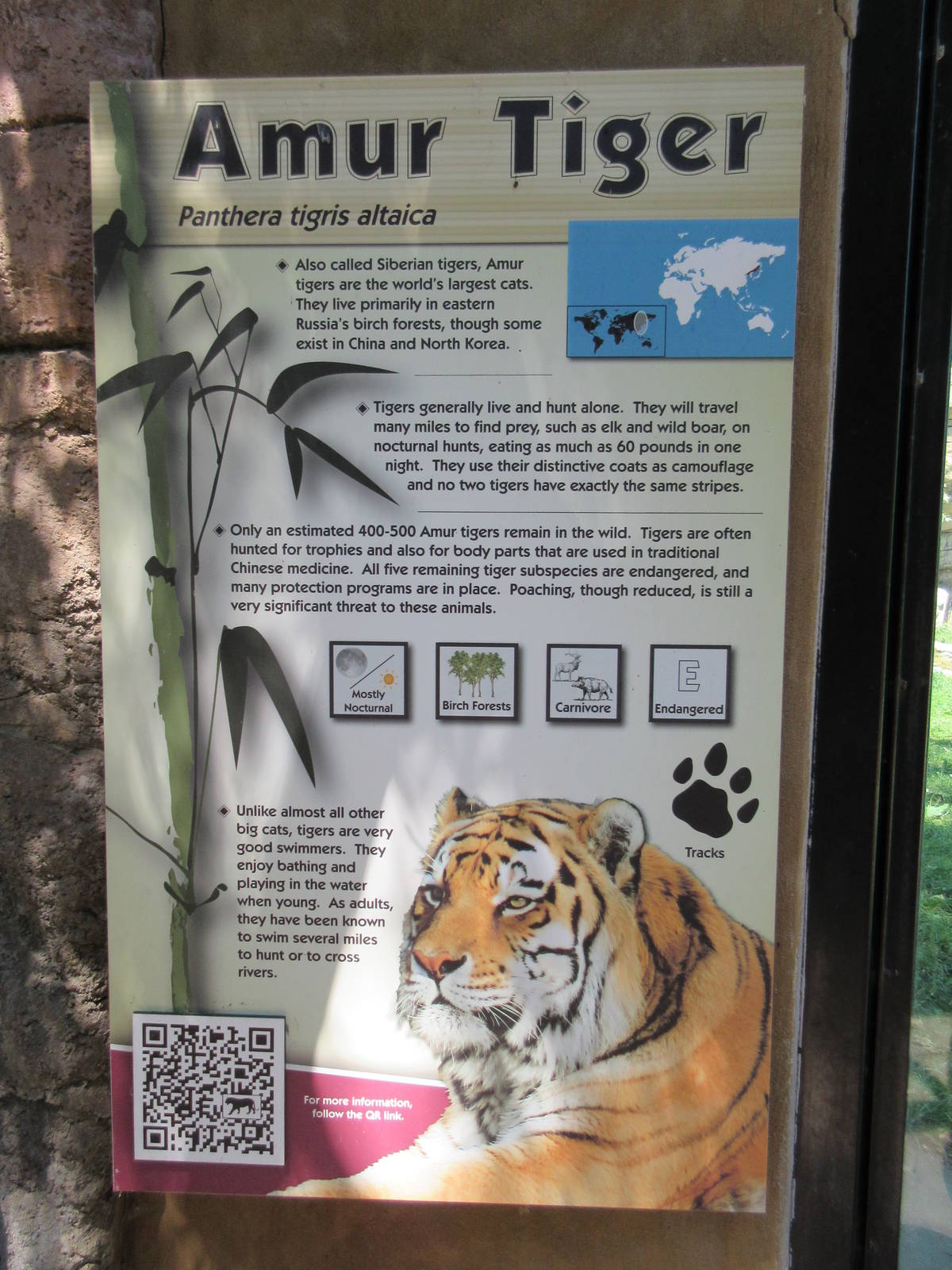 Amur Tiger Exhibit - Sign