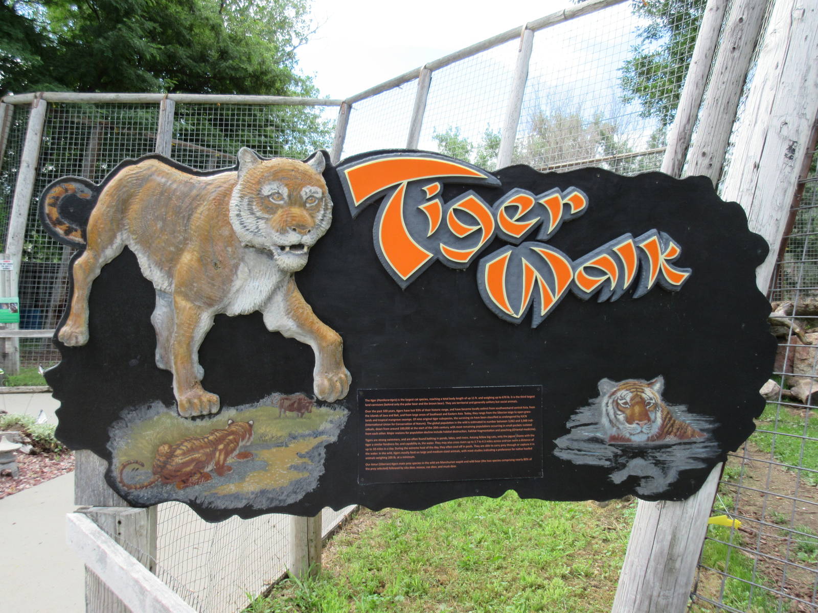 Amur Tiger Exhibit - Sign