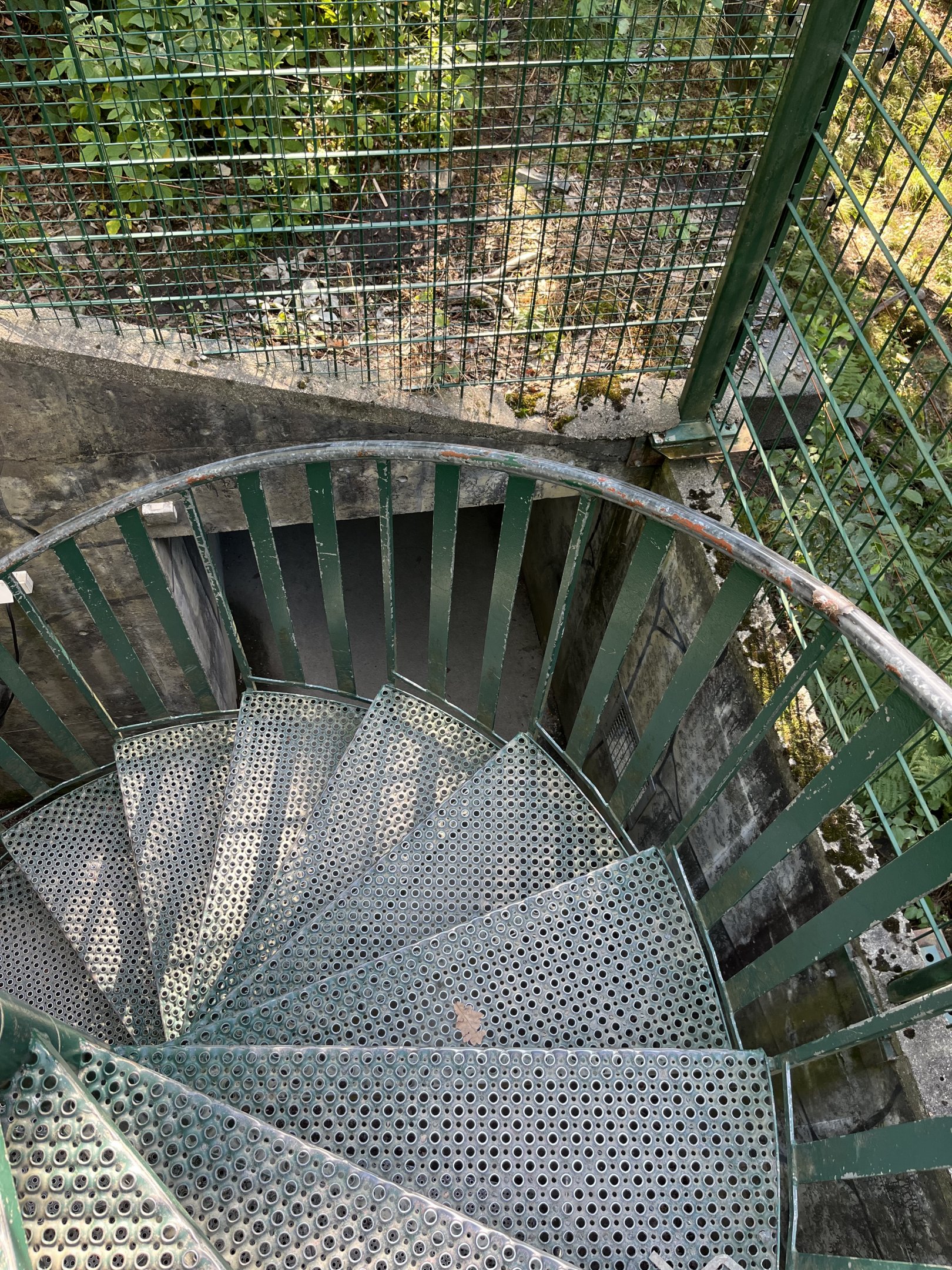 Amur Tiger Exhibit - steep stairs to tunnel