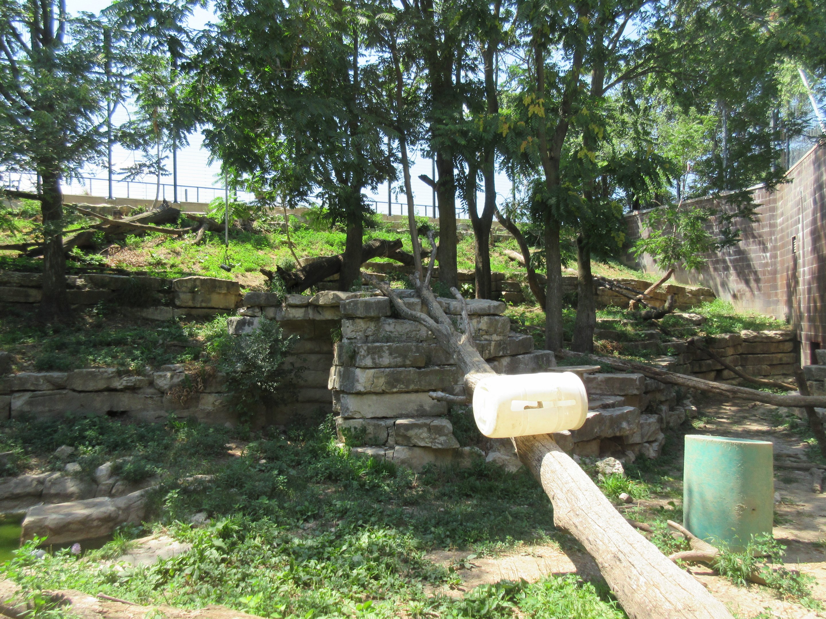 Amur Tiger Exhibit (to be demolished in 2019)