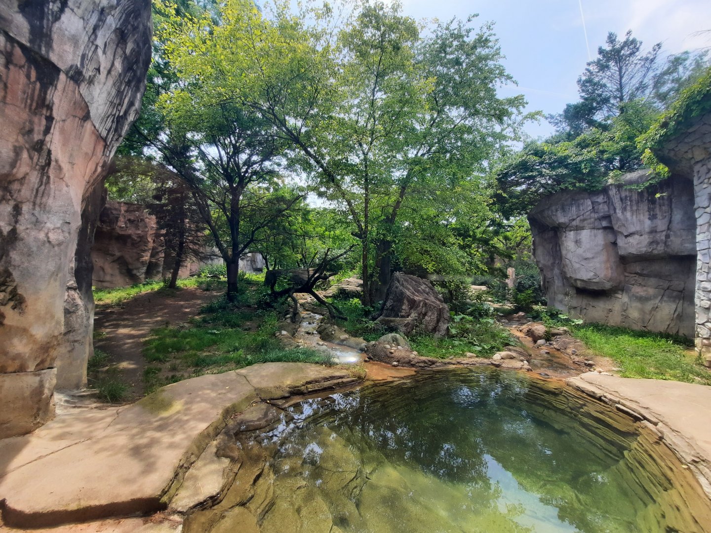 Amur Tiger Exhibit Upper Viewing