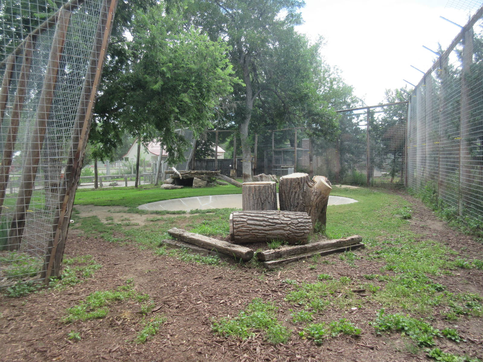 Amur Tiger Exhibit (via indoor viewing area)
