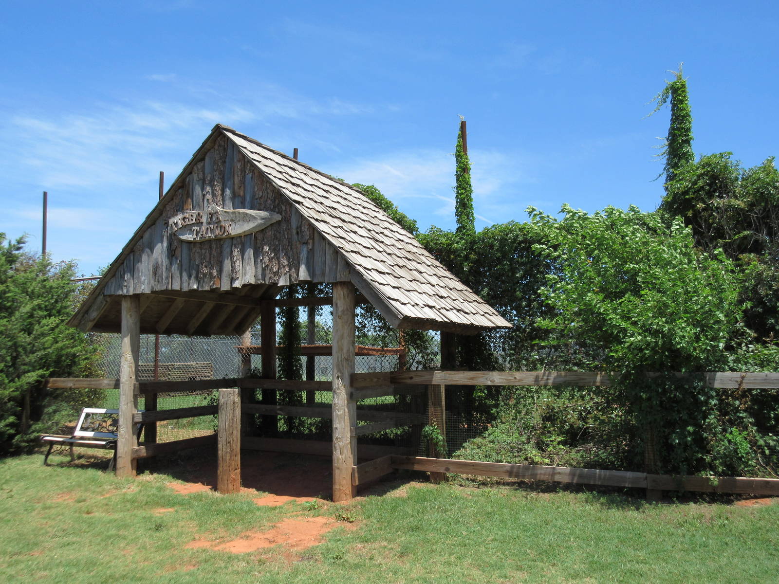 Amur Tiger Exhibit - Viewing Area