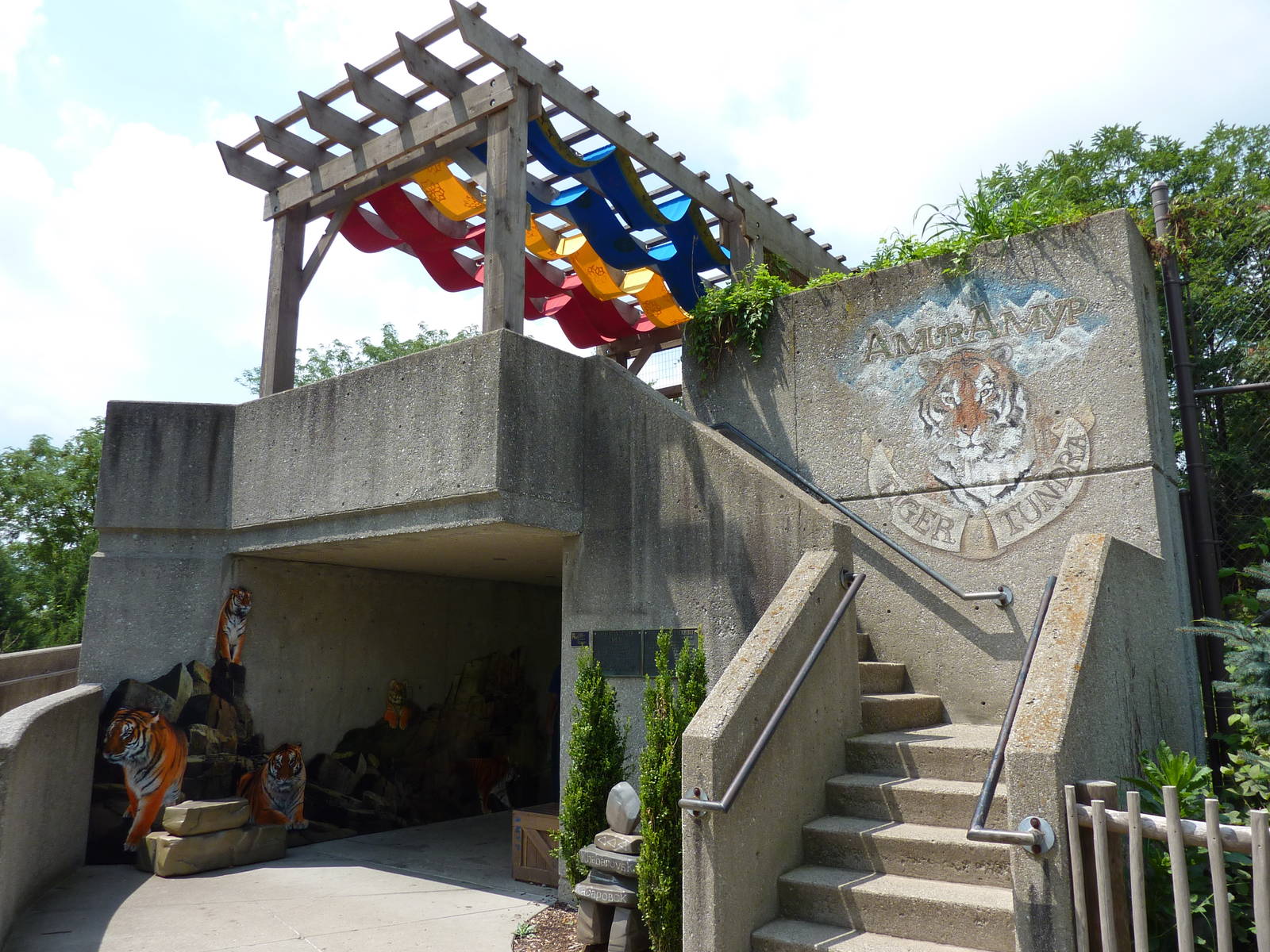 Amur Tiger Exhibit - Viewing Platform