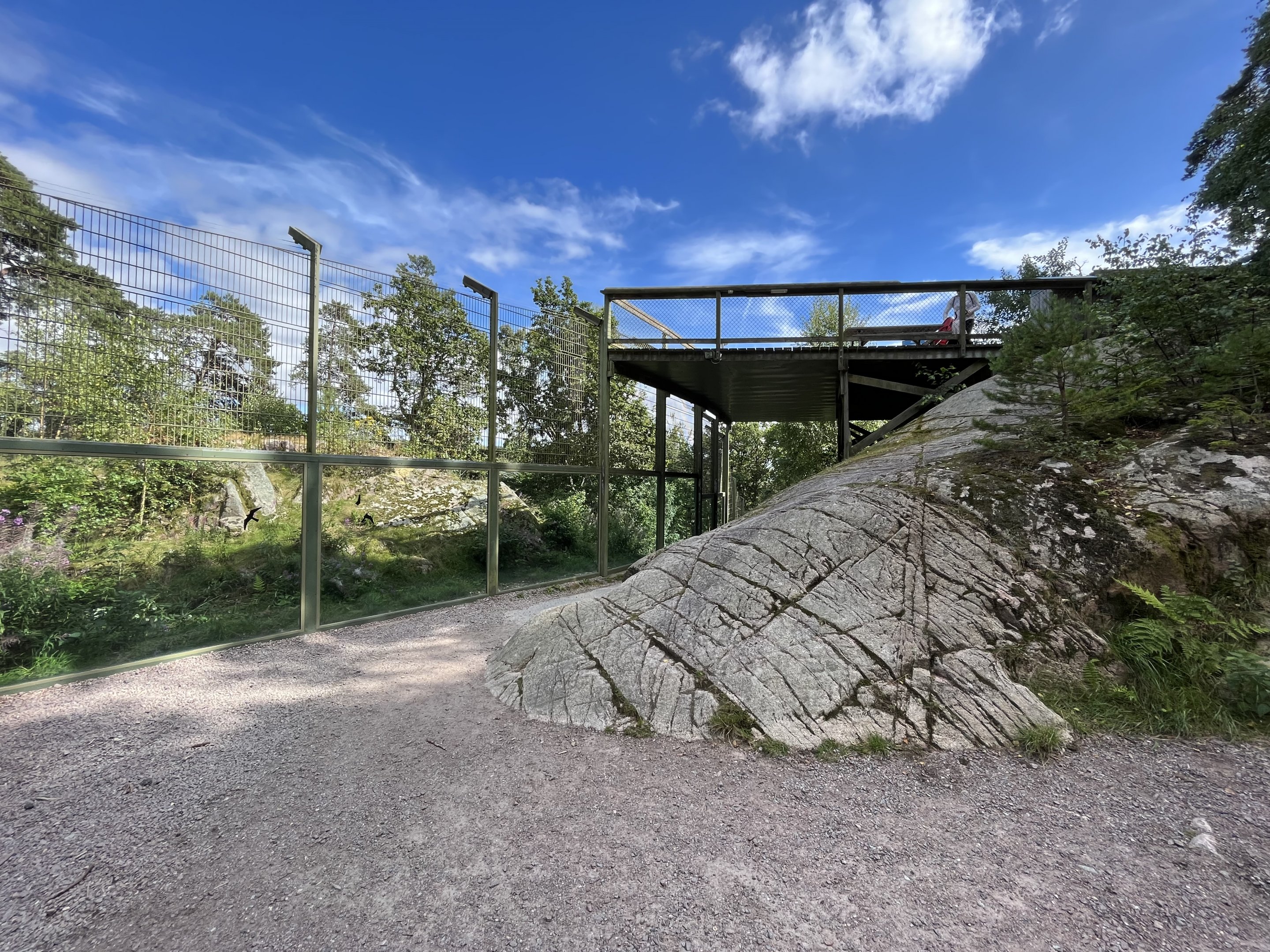 Amur Tiger Exhibit - viewing platform