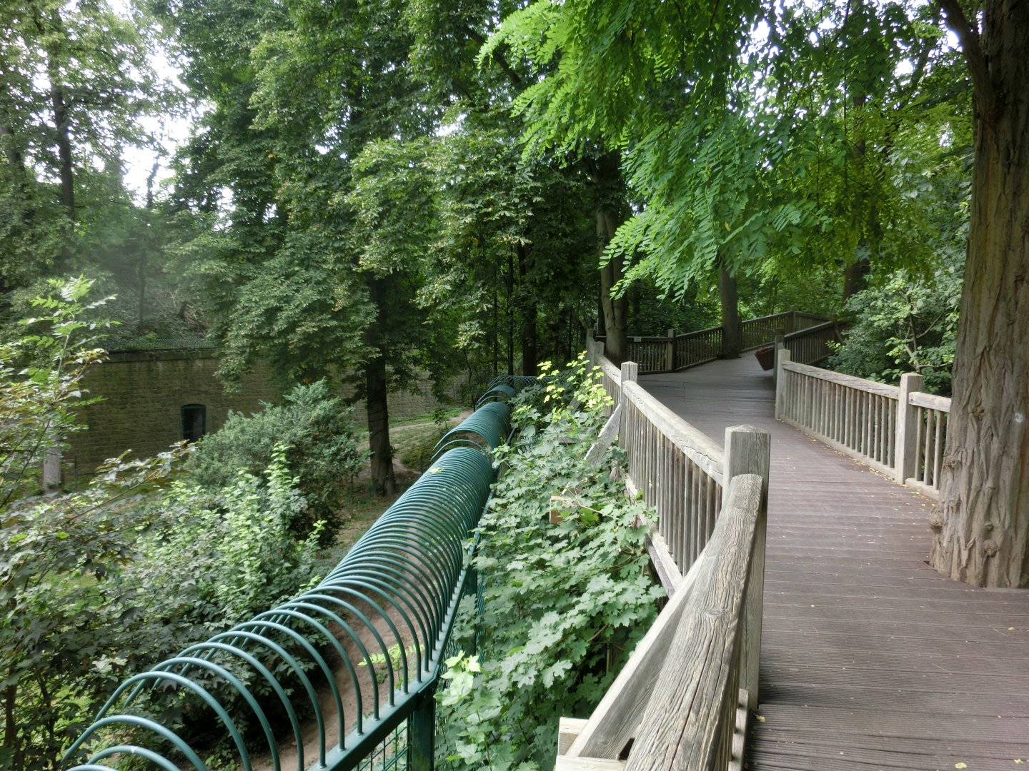 Amur tiger exhibit - visitor path - Landau Zoo