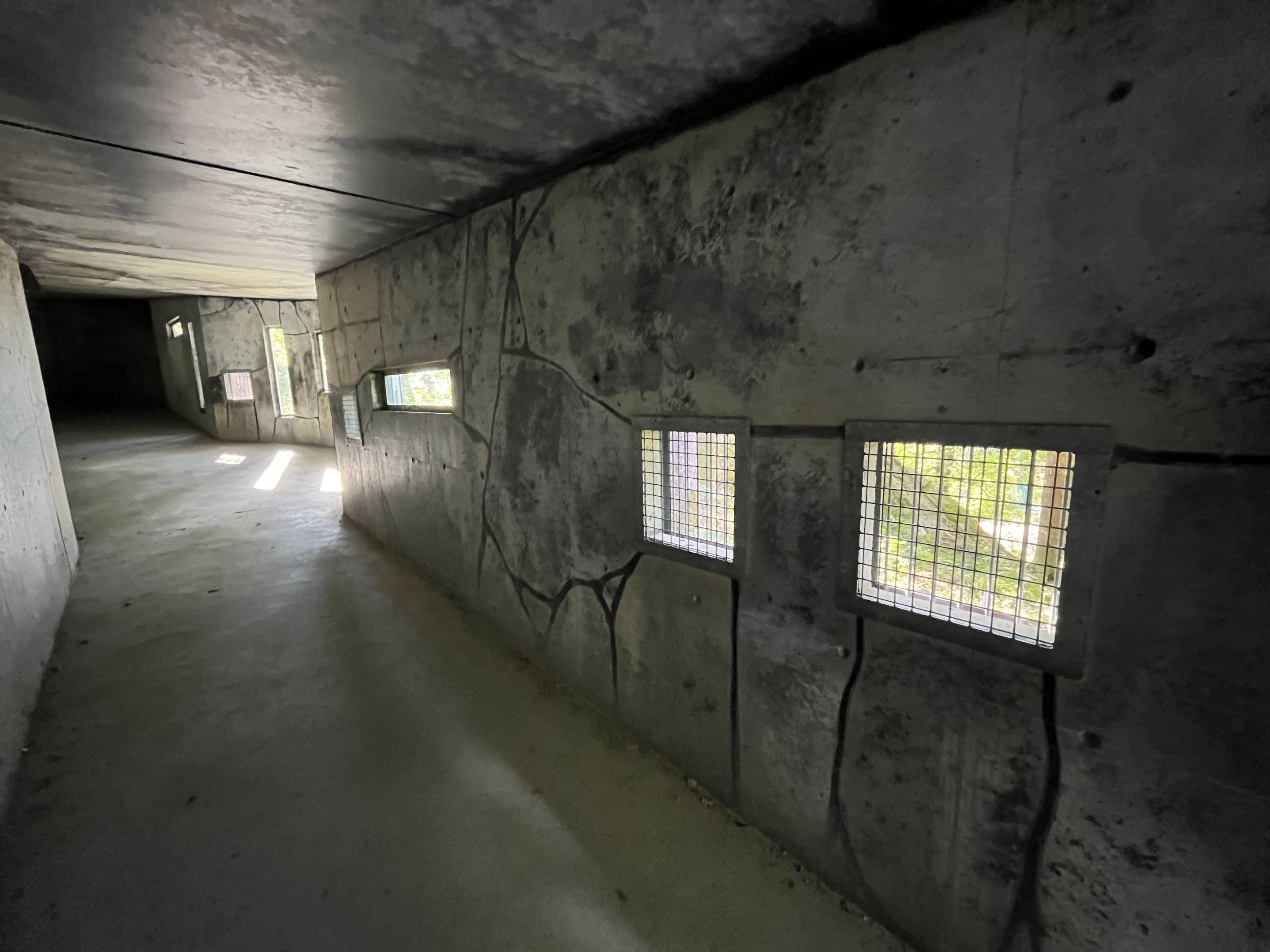 Amur Tiger Exhibit - visitor tunnel