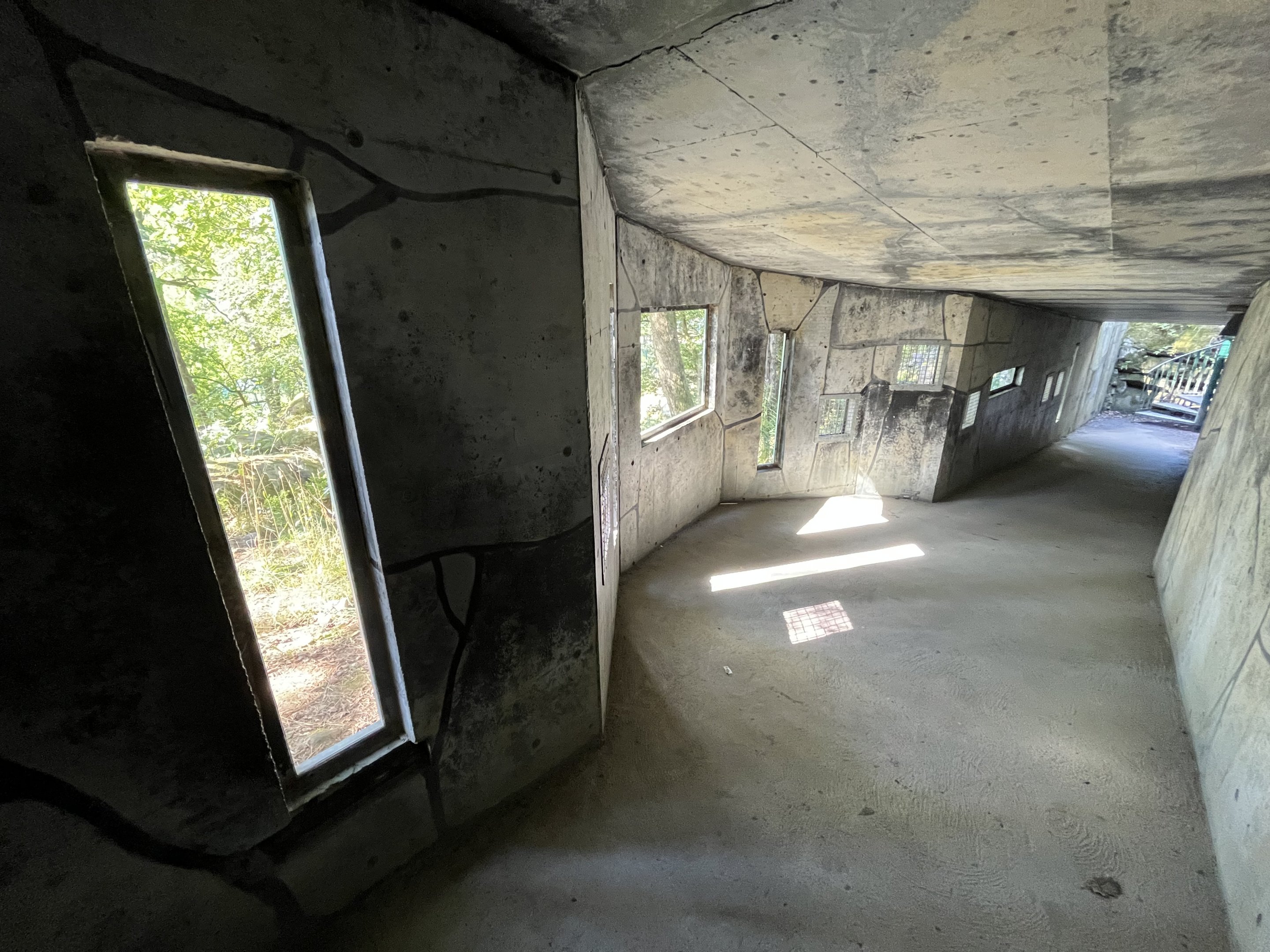 Amur Tiger Exhibit - visitor tunnel