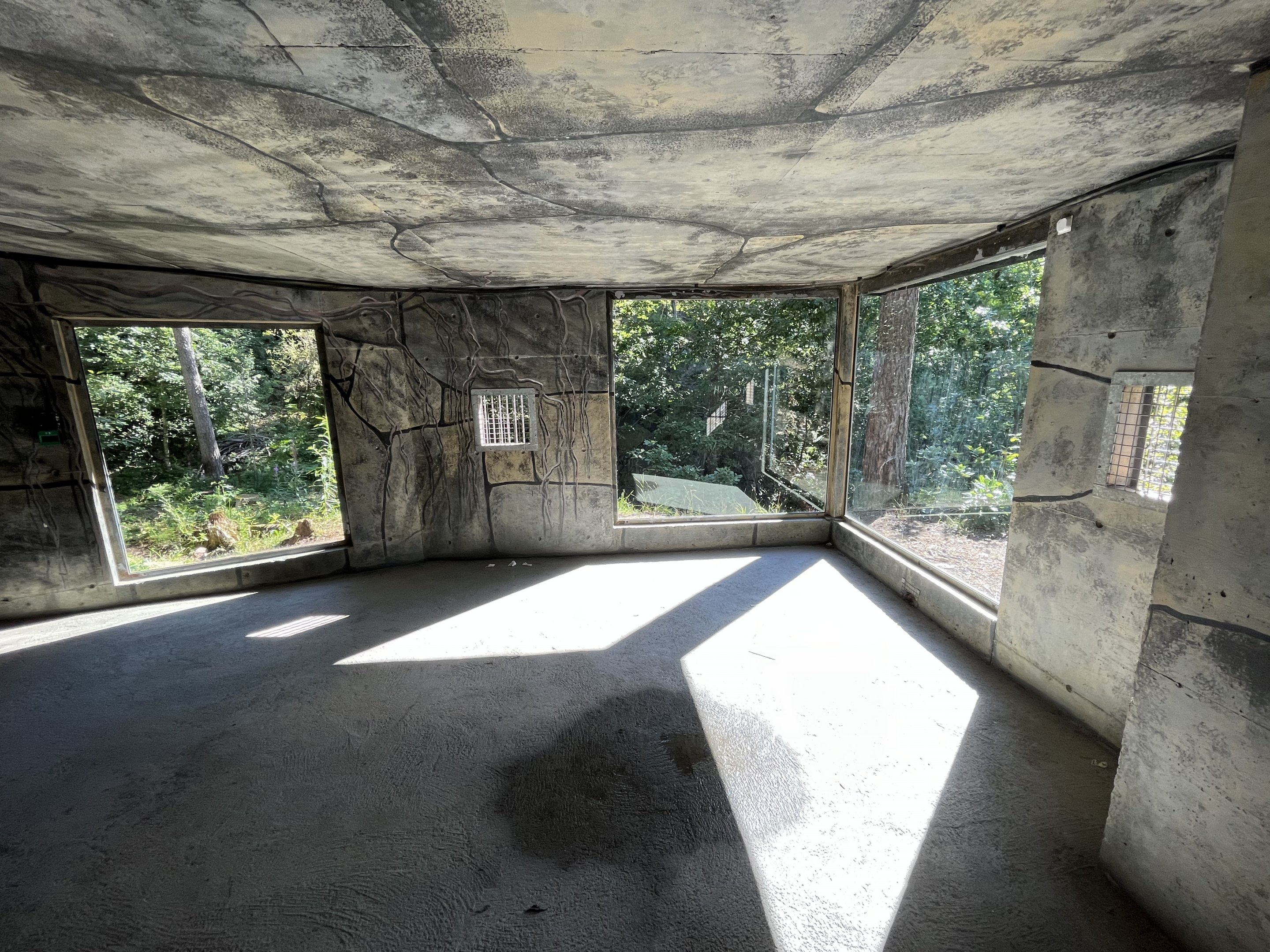 Amur Tiger Exhibit - visitor tunnel