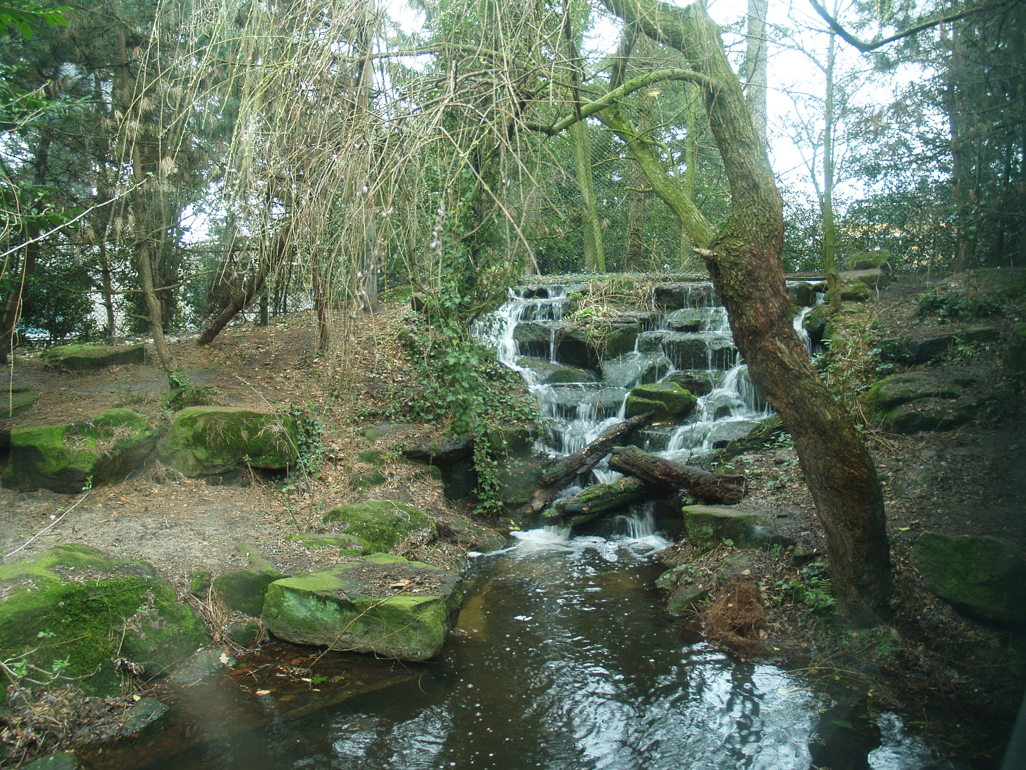 Amur tiger exhibit waterfall and pool, 2008-03-01
