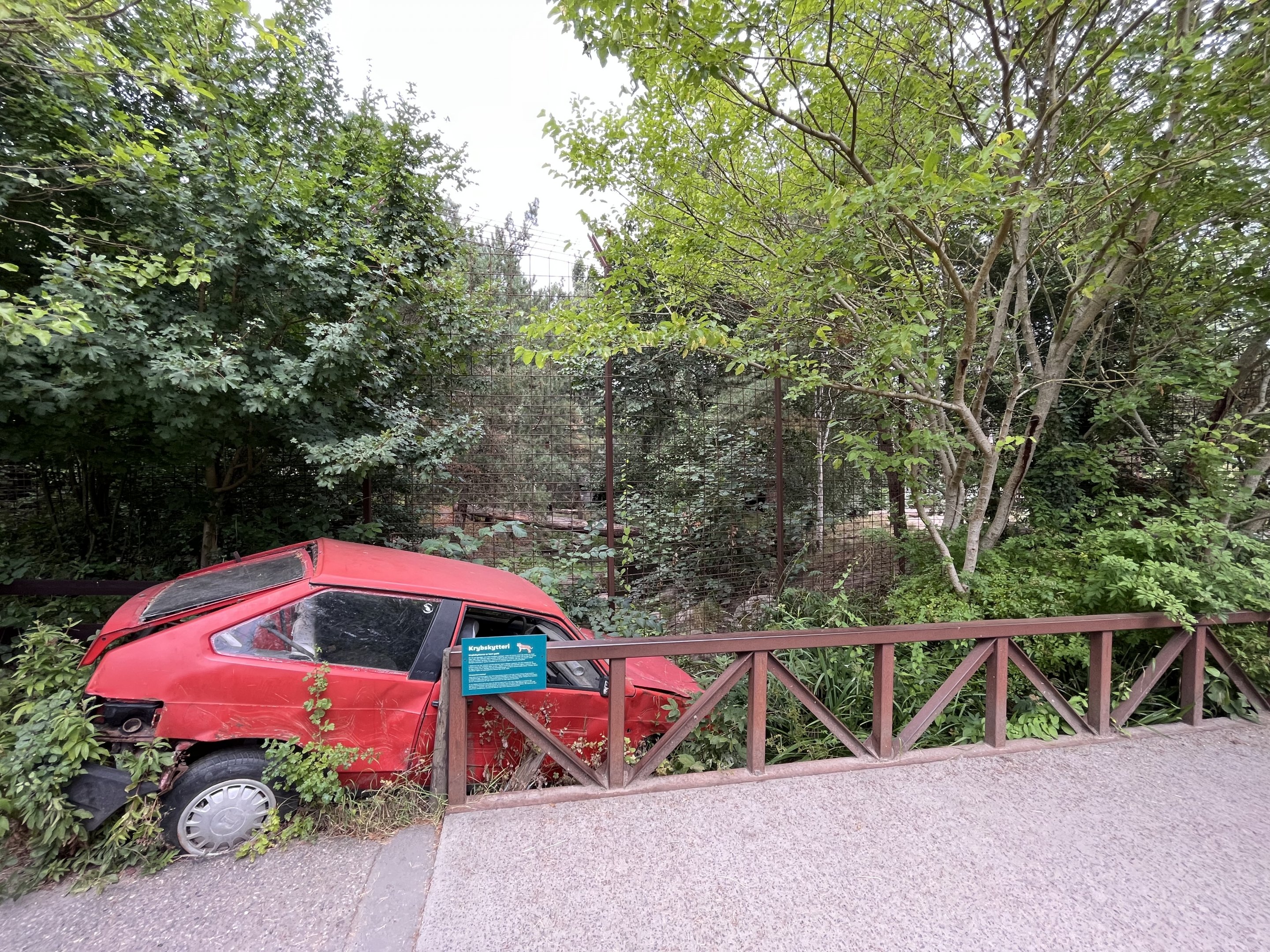 Amur Tiger Exhibit (with crashed car!)