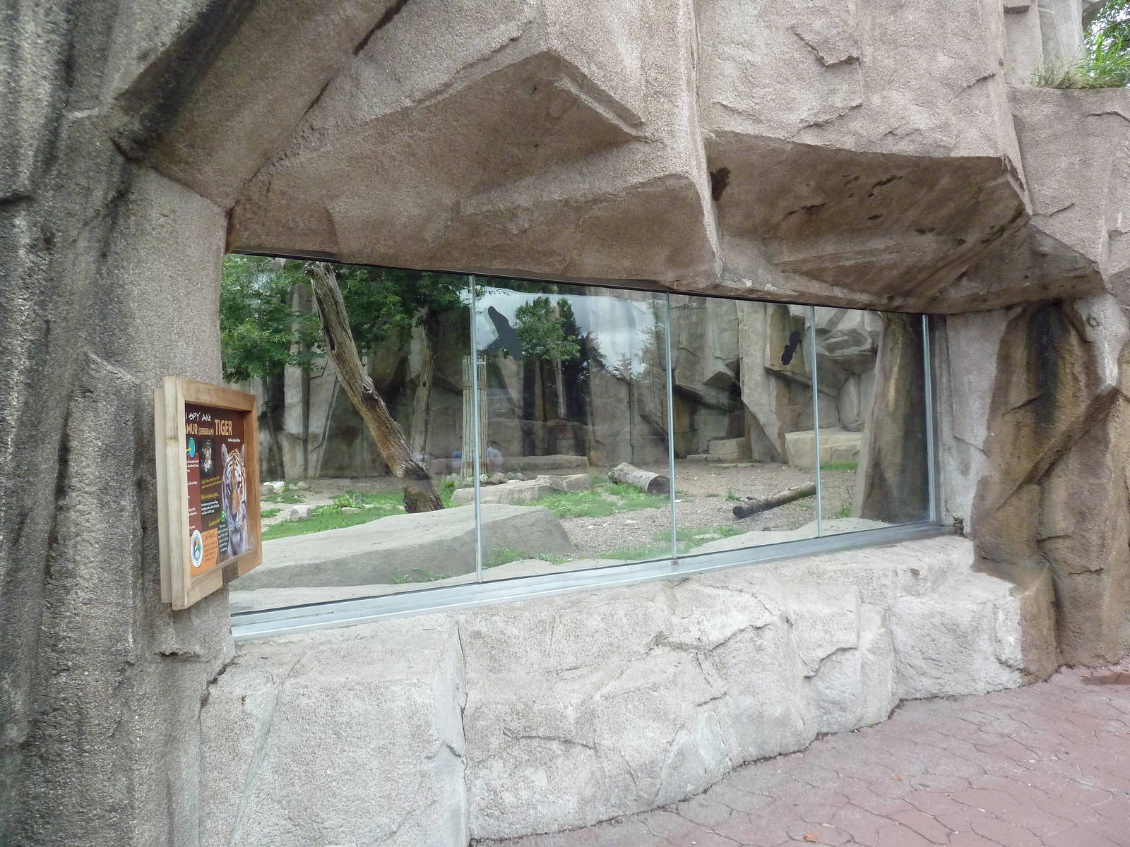 Amur Tiger Exhibit