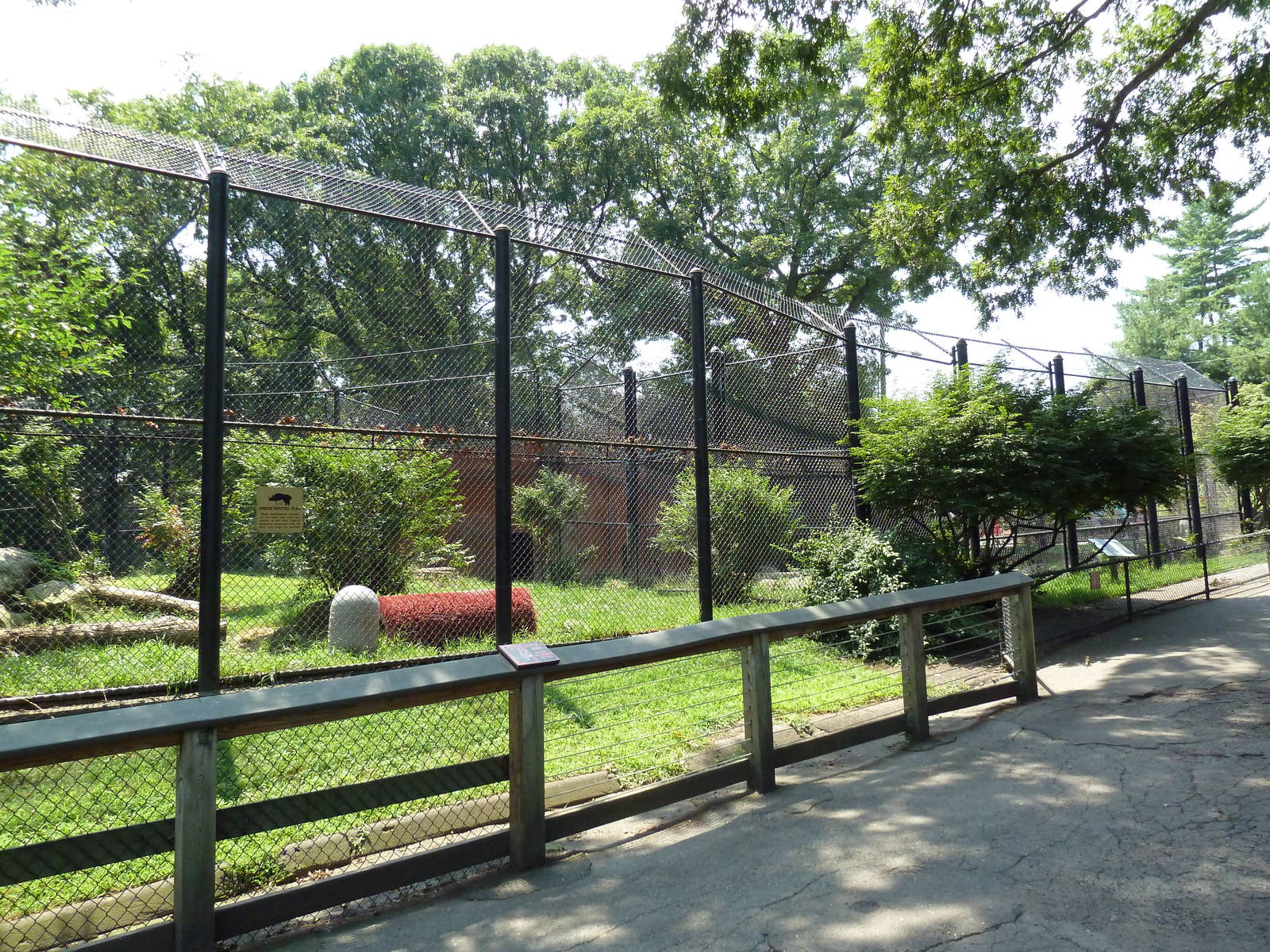Amur Tiger Exhibit