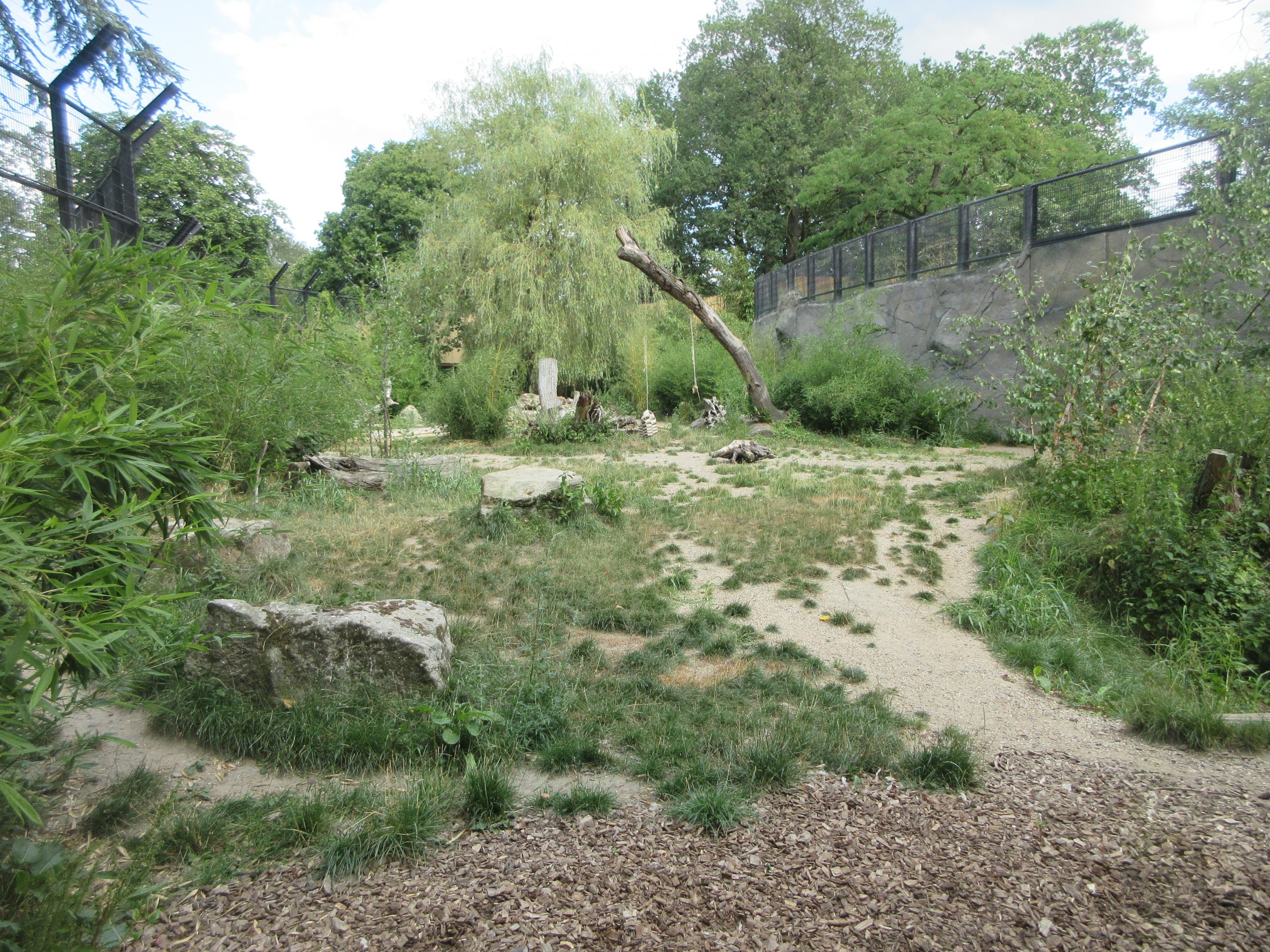 Amur Tiger Exhibit