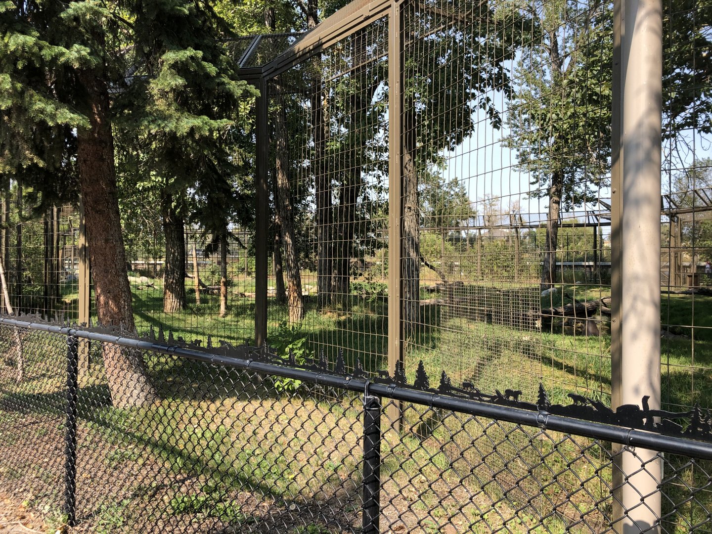 Amur Tiger Exhibit