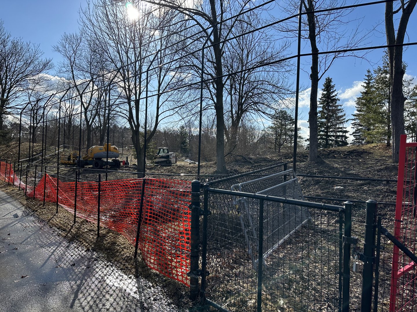 Amur Tiger Expansion