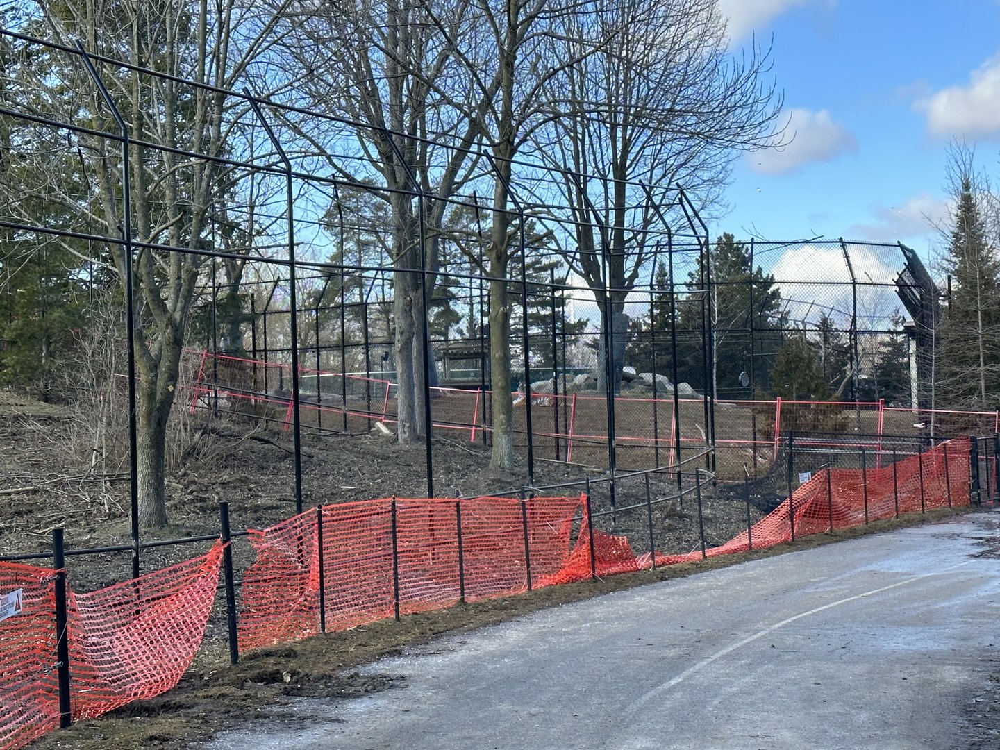 Amur Tiger Expansion