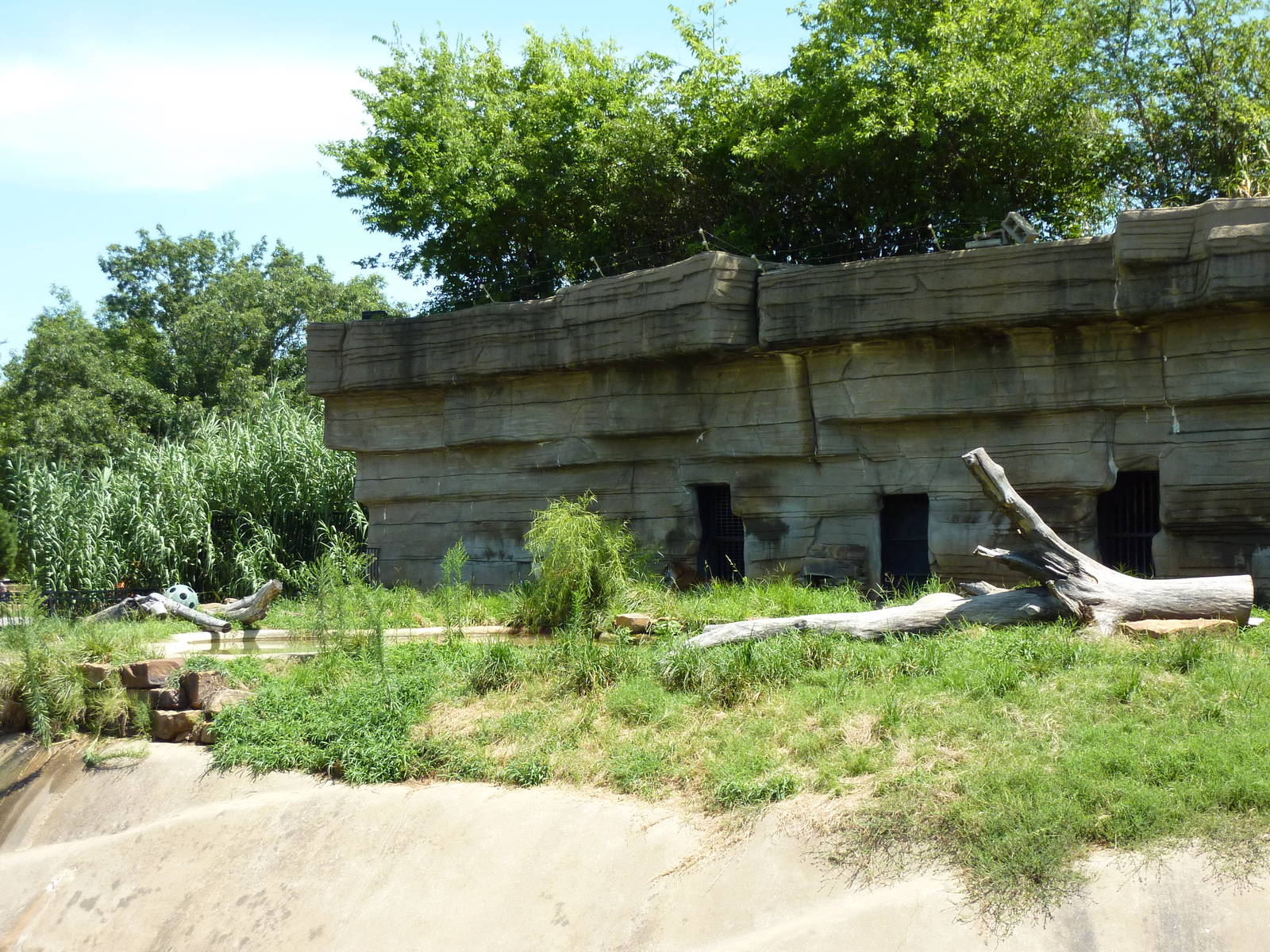 Amur Tiger Grotto
