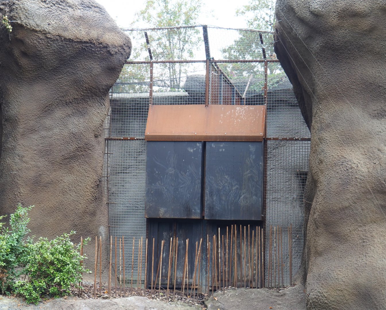 Amur tiger holding area, 2020-09-03