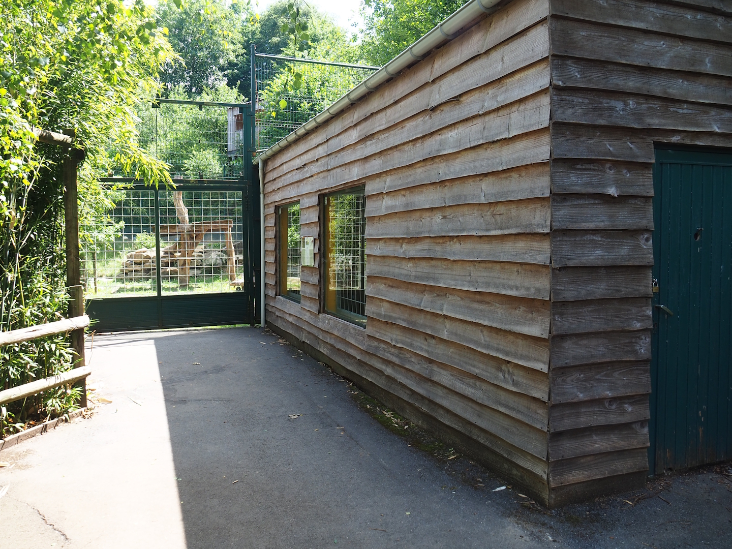 Amur tiger holding building and Lower Amur tiger viewing area, 2023-06-24