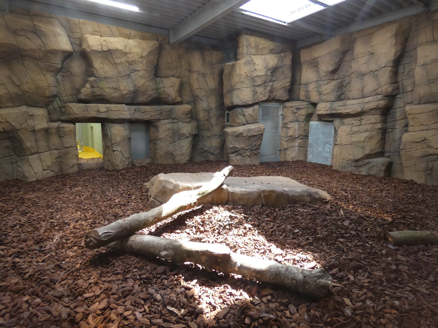Amur tiger indoor enclosure