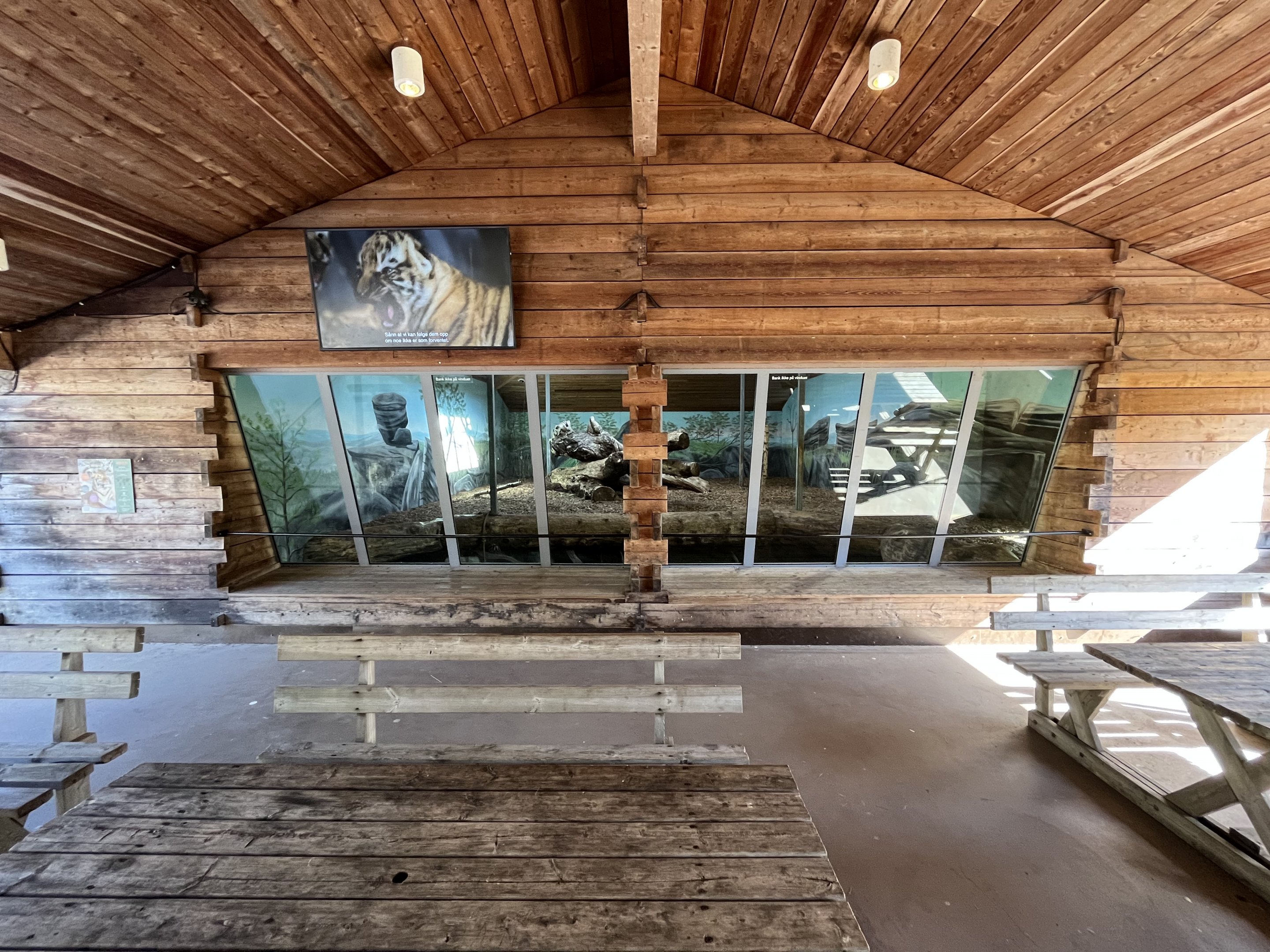 Amur Tiger Indoor Exhibit
