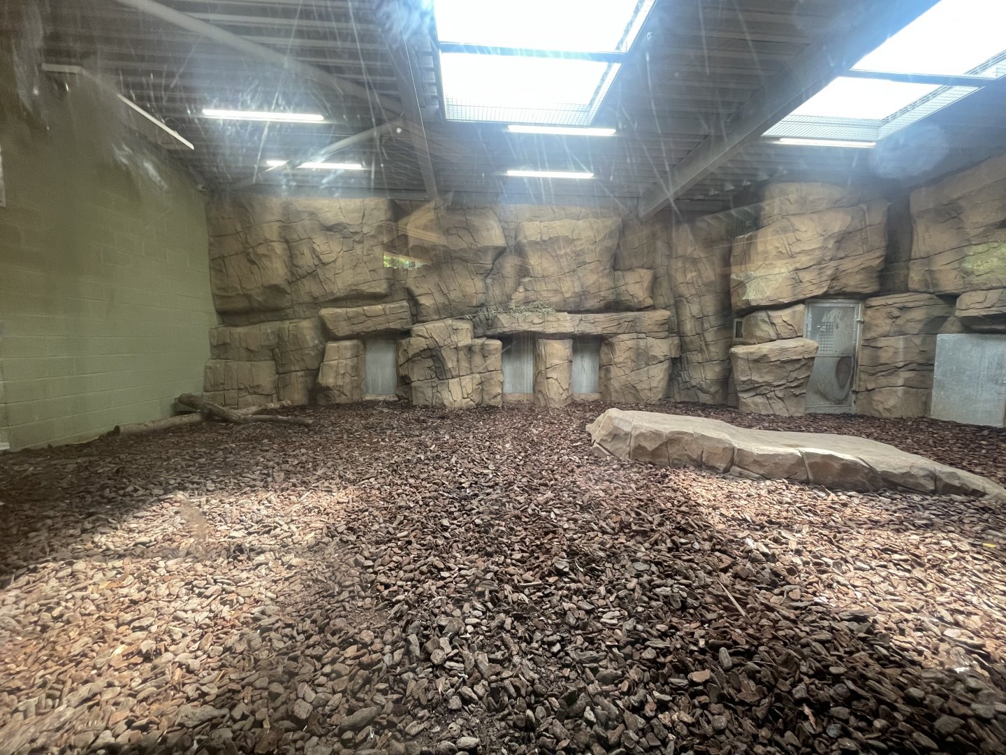 Amur Tiger Indoor Facility