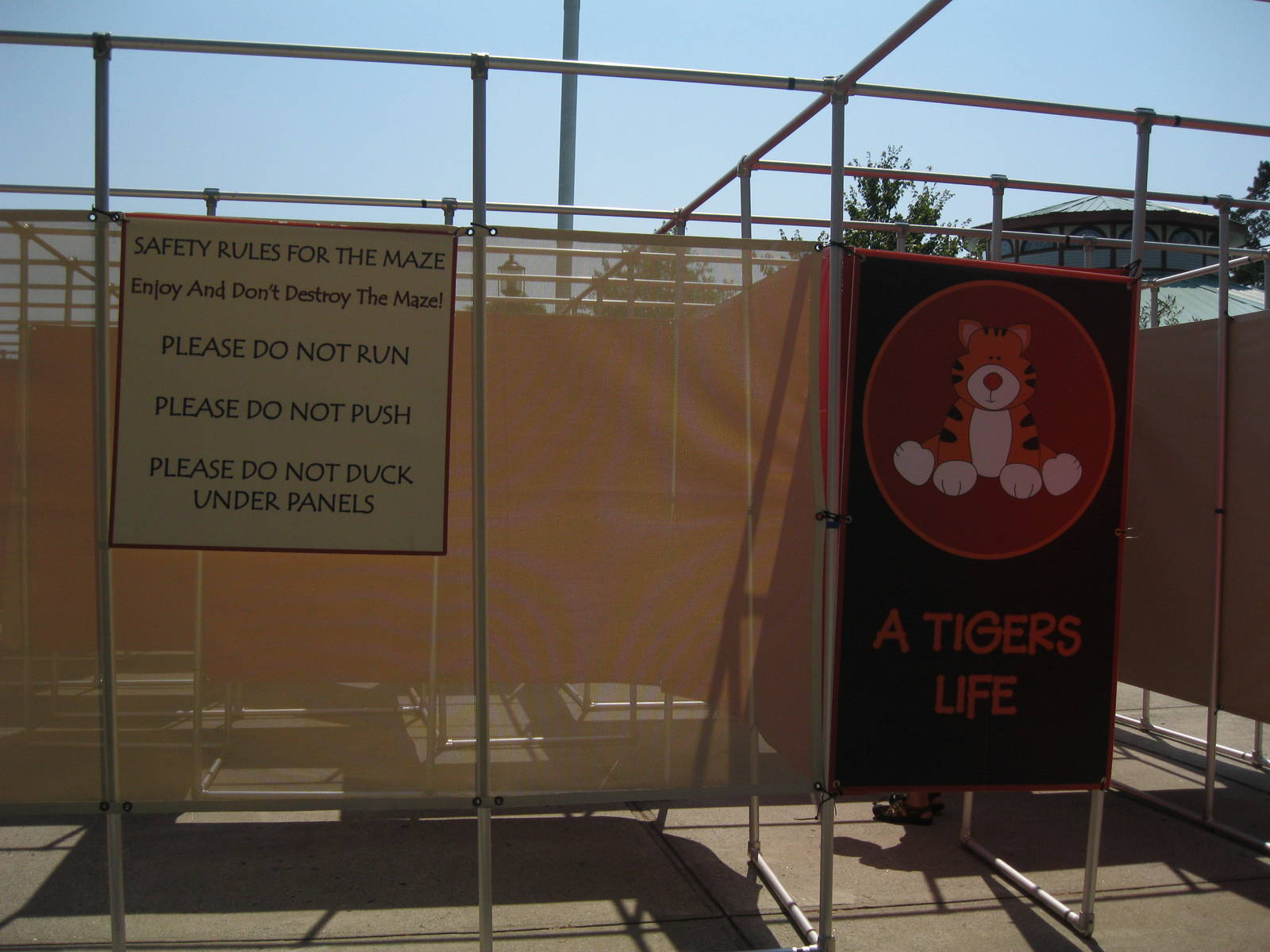 Amur Tiger Maze Entrance