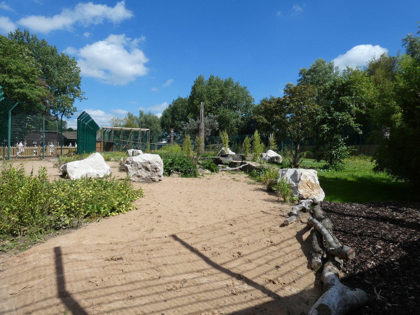 Amur tiger outdoor enclosure