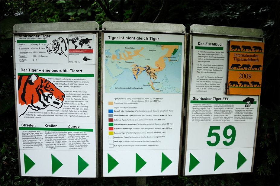 Amur-tiger sign at Hamburg