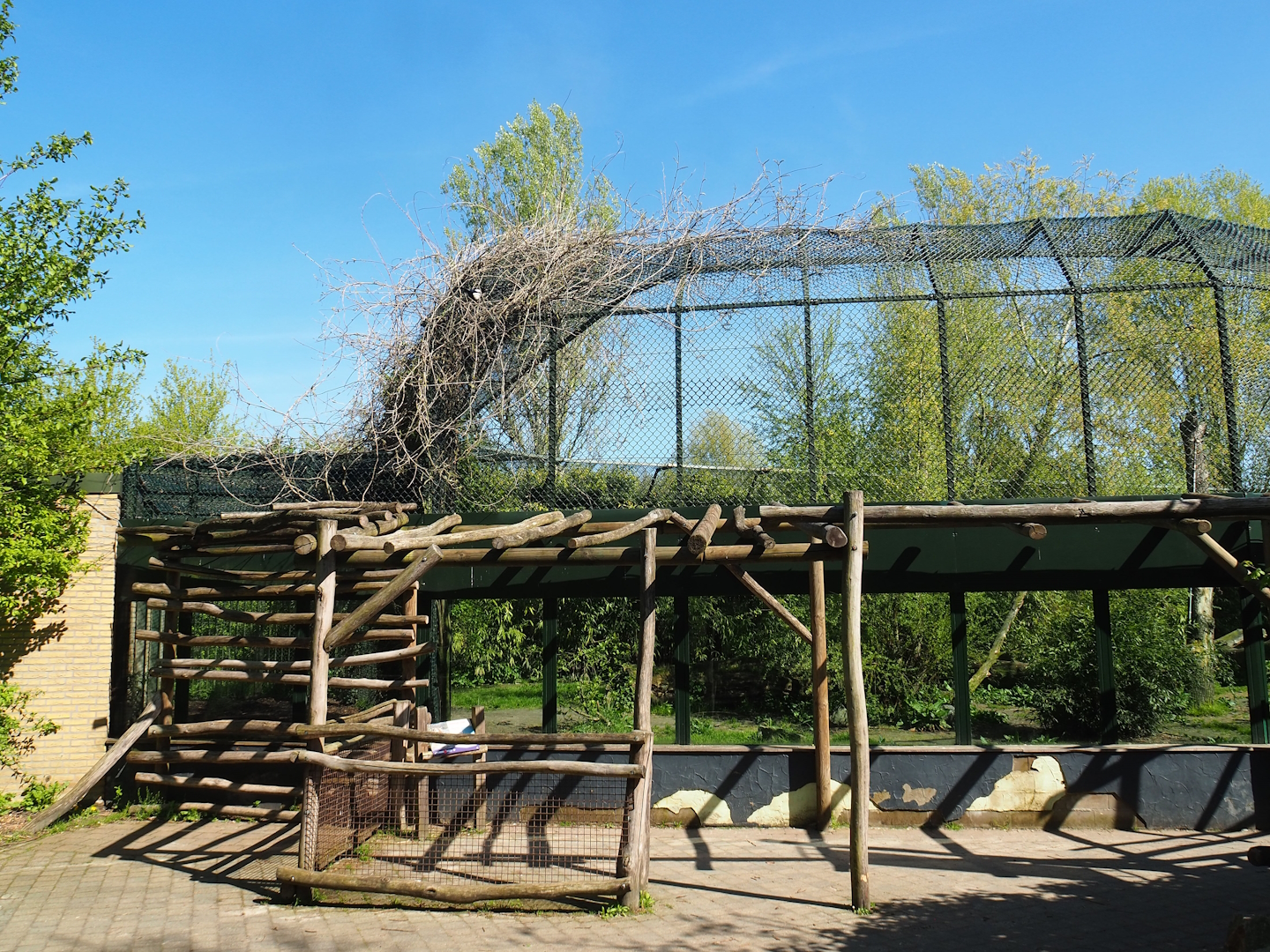 Amur tiger viewing area, 2023-04-30