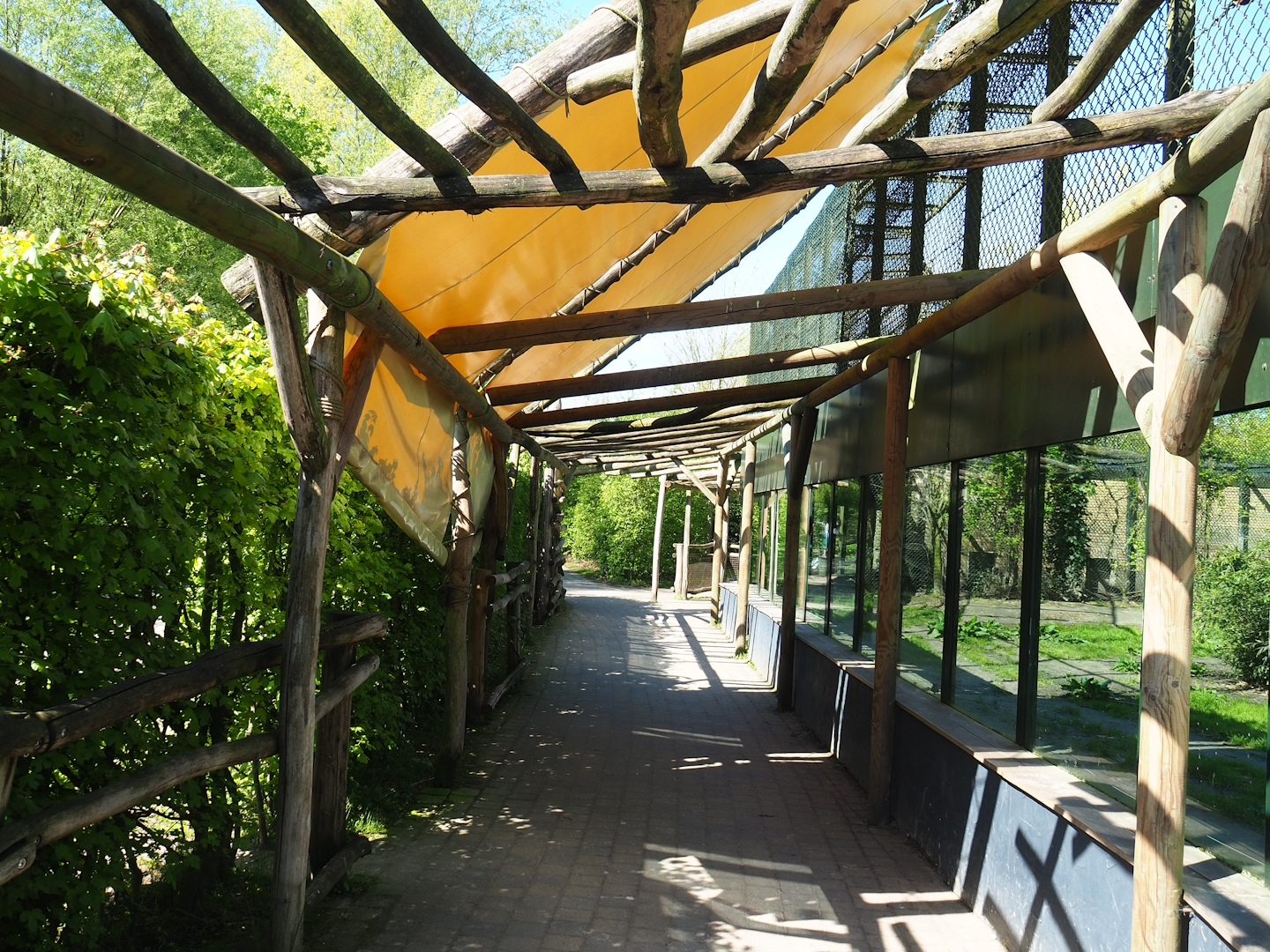 Amur tiger viewing area, 2023-04-30