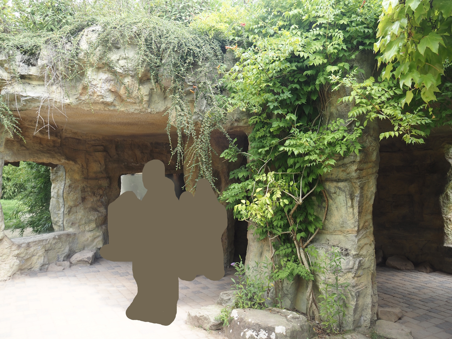 Amur tiger viewing area, 2024-08-05