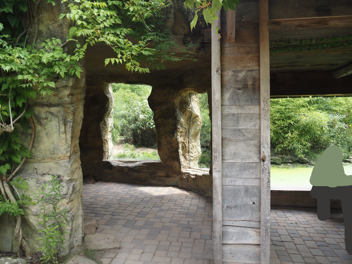 Amur tiger viewing area, 2024-08-05