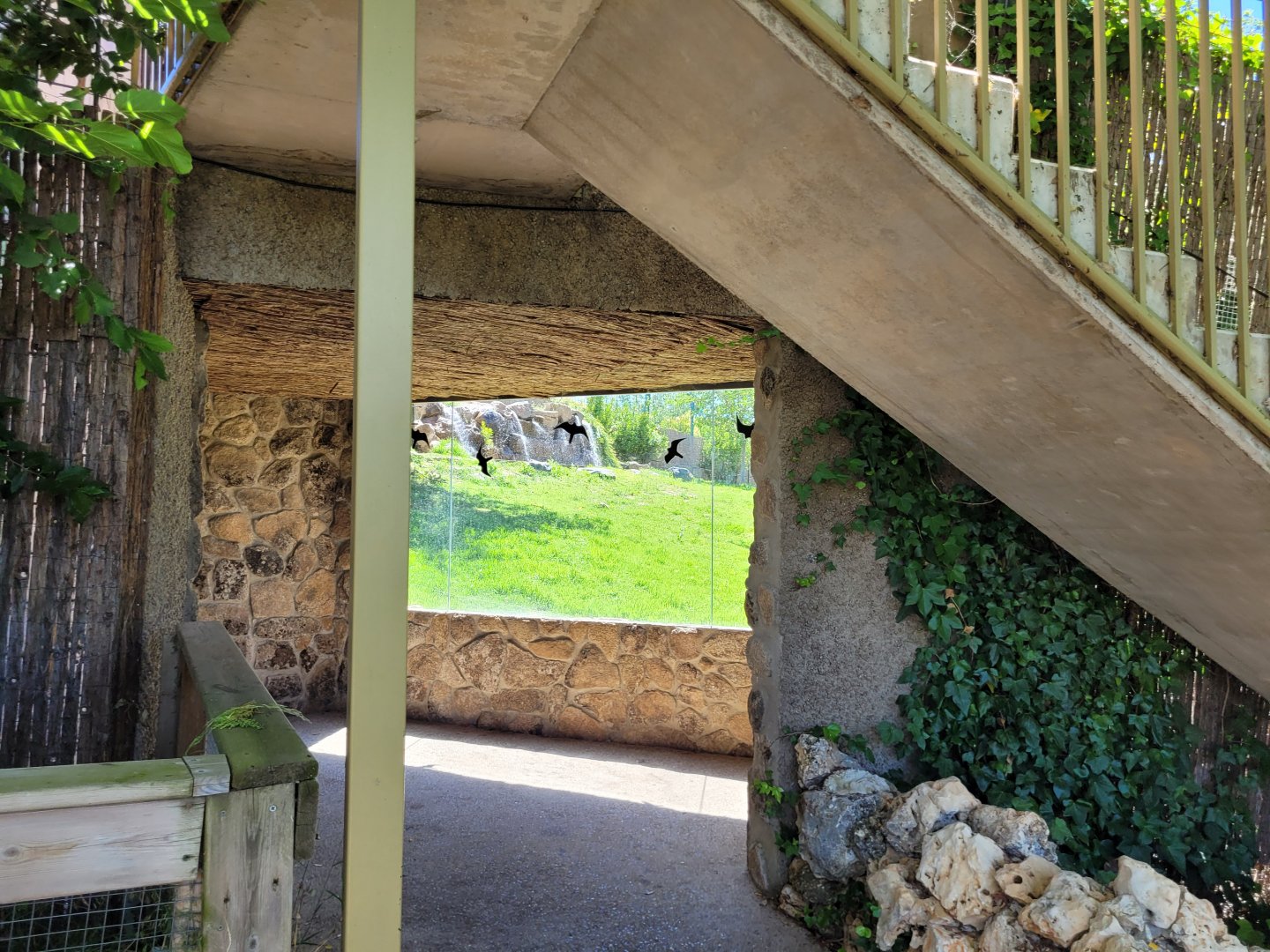 Amur tiger viewing area -Sendaviva (2024)