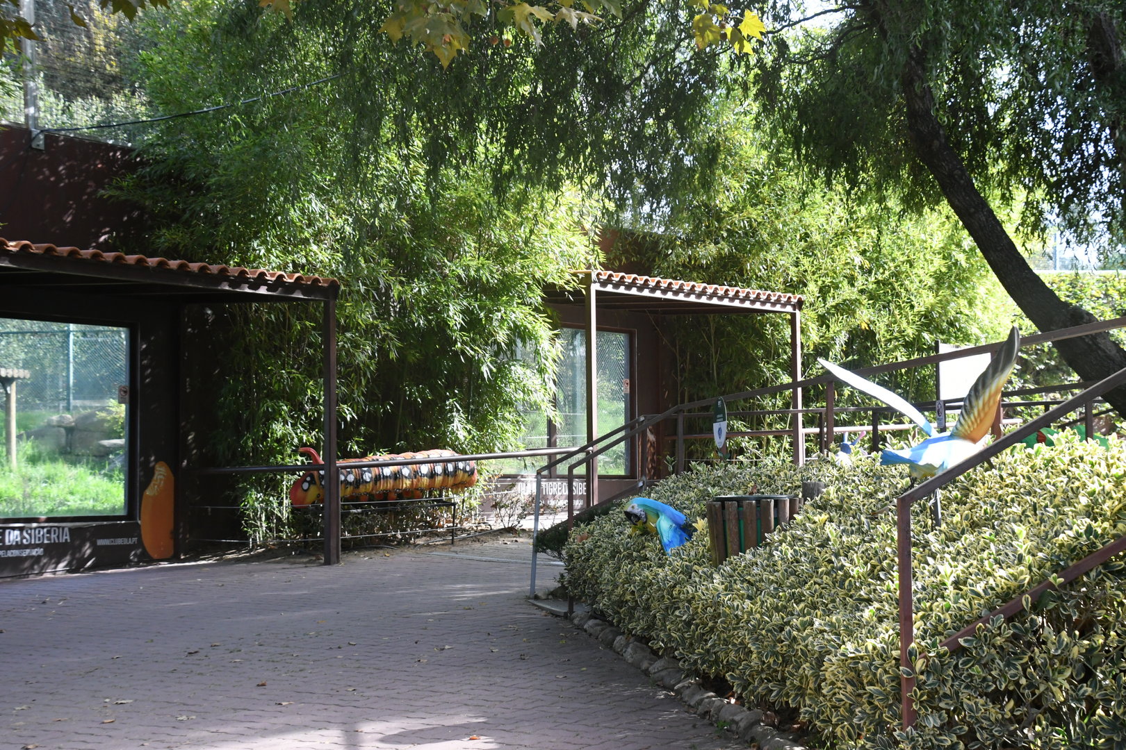 Amur Tigers exhibit viewing windows