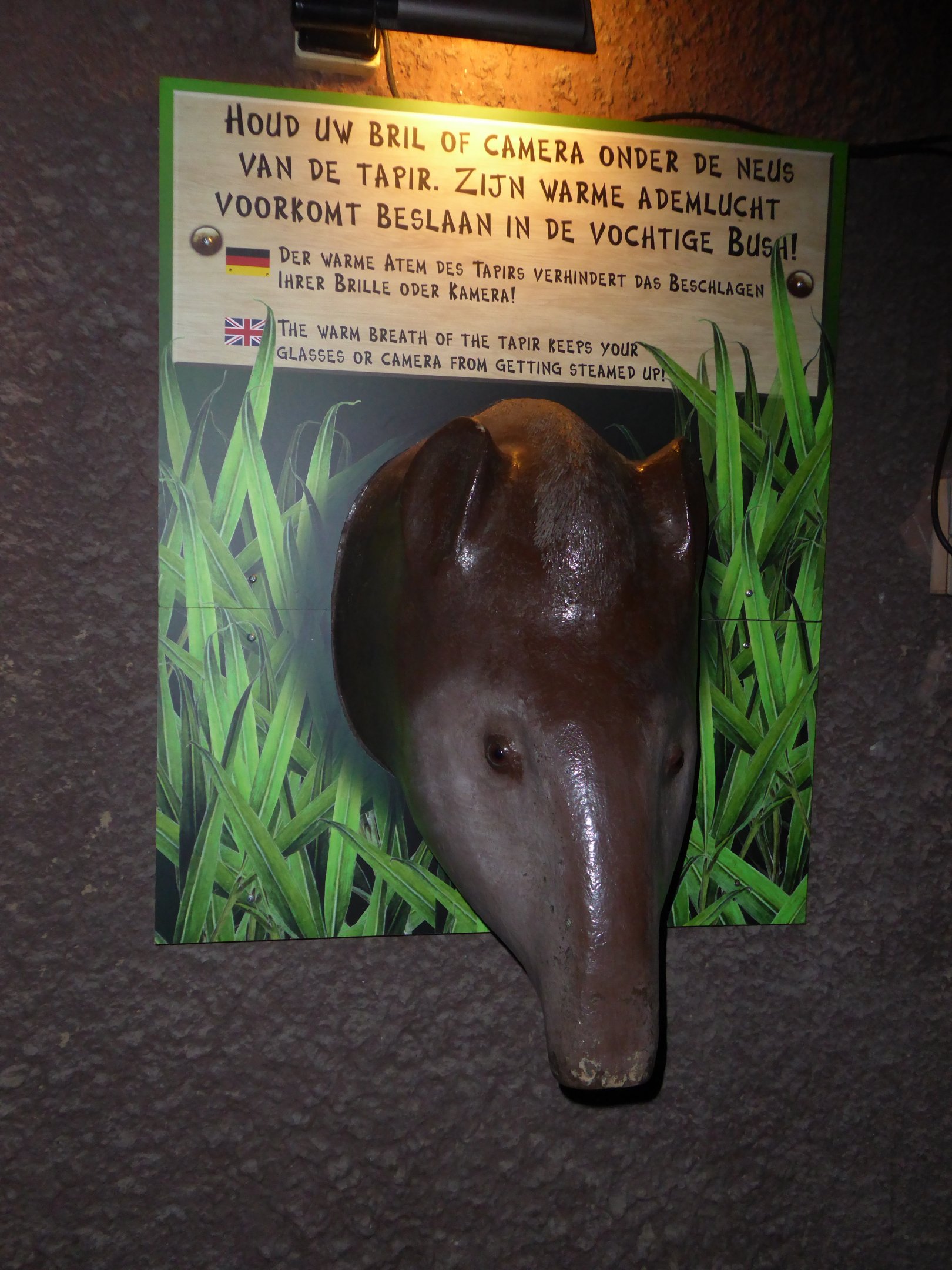 An amusing means of preventing condensation on glasses and camera alike!